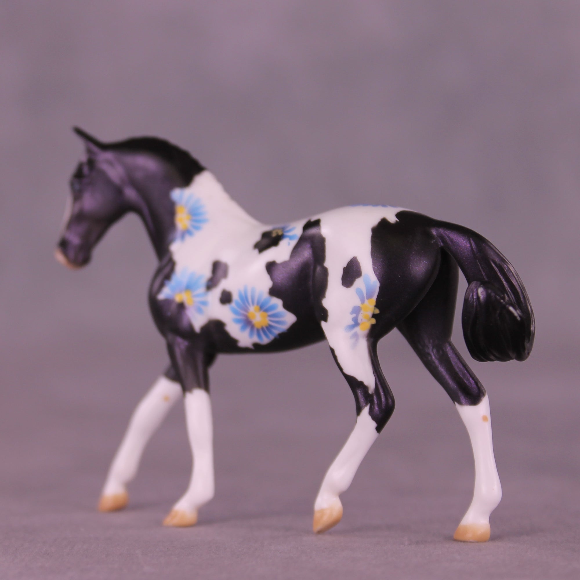 SAMPLE Splendor LE-6 FCM Chip Warmblood by Dawn Quick HS25