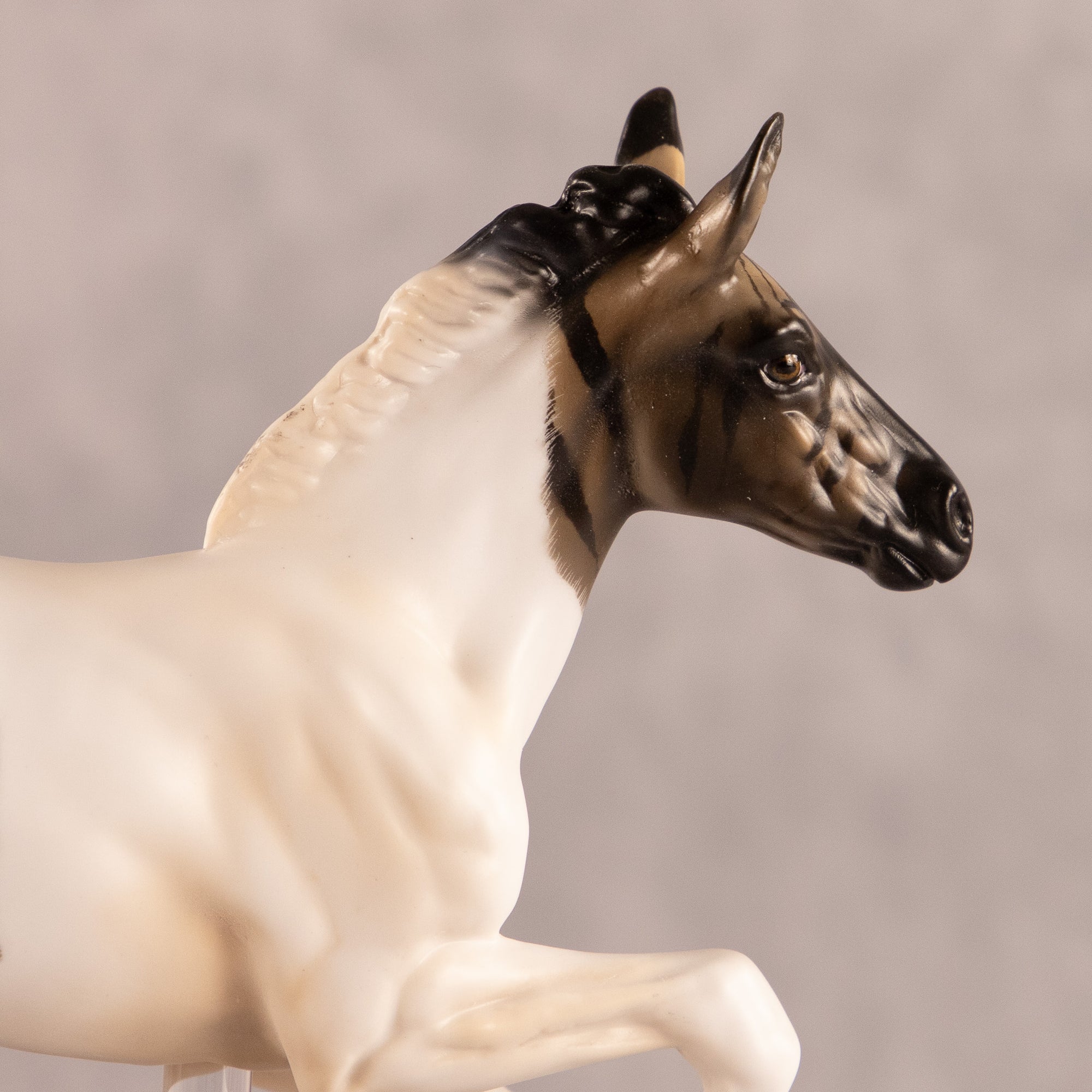 Spotted In The Wild OOAK FCM Pimento by Carly Kudalis EQ26