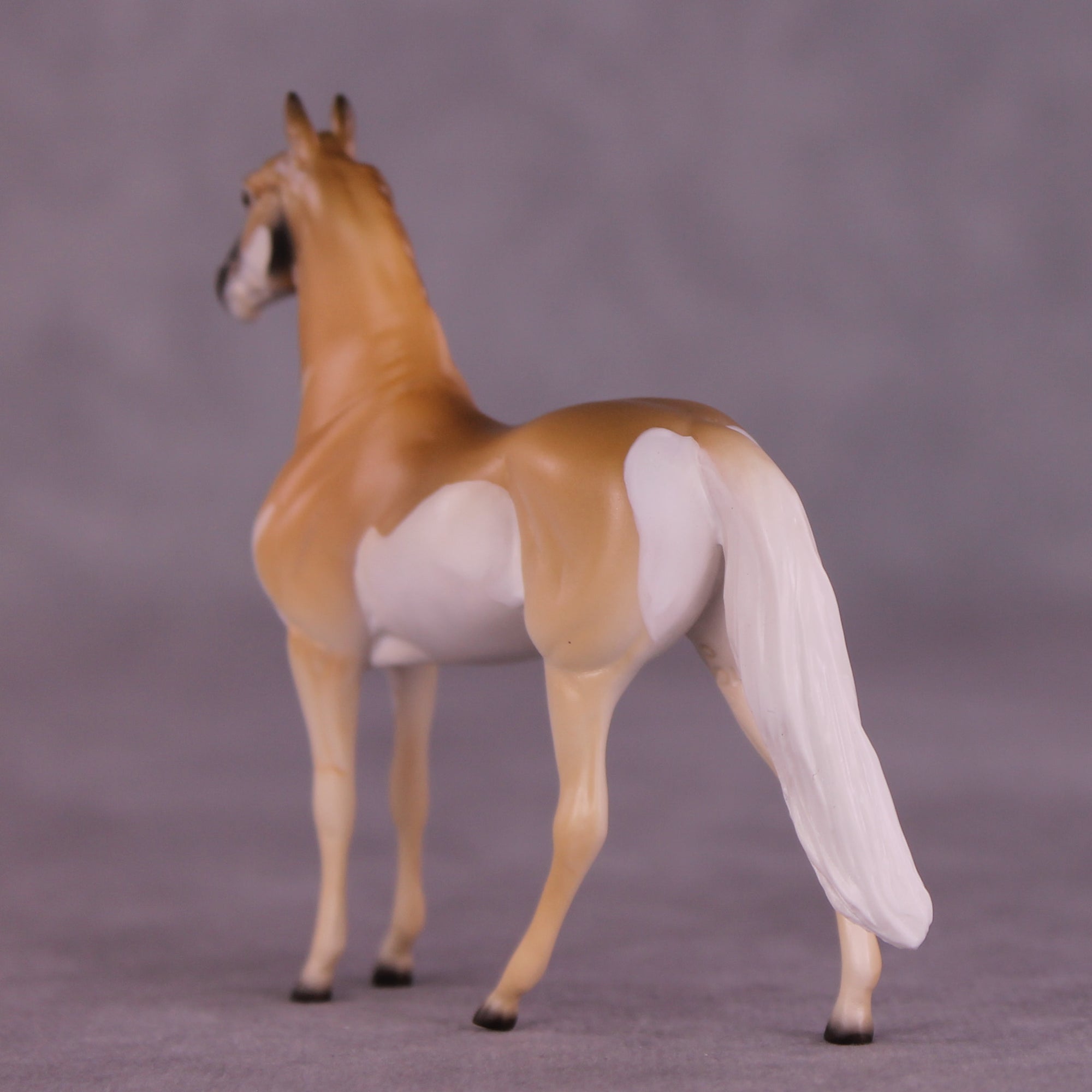 Clove LE-3 Chip Morgan by Jess Hamill MS25