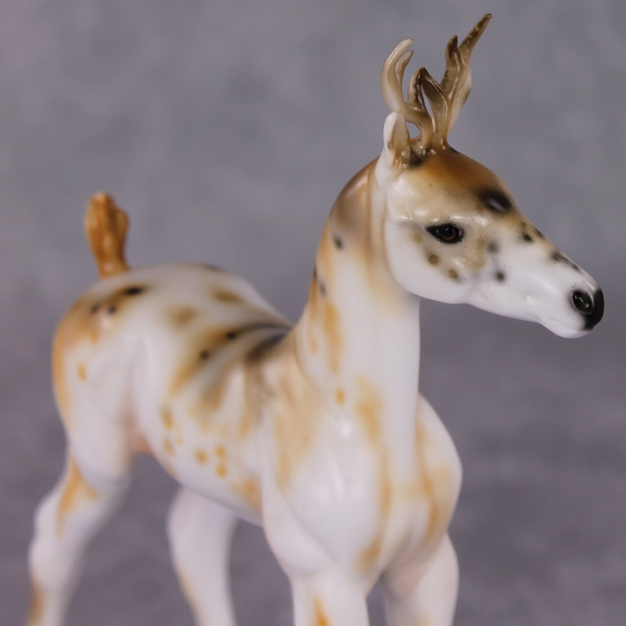 Faline OOAK Deer Deco Arabian Foal By Dawn Quick HS24 MHP Auction Piece