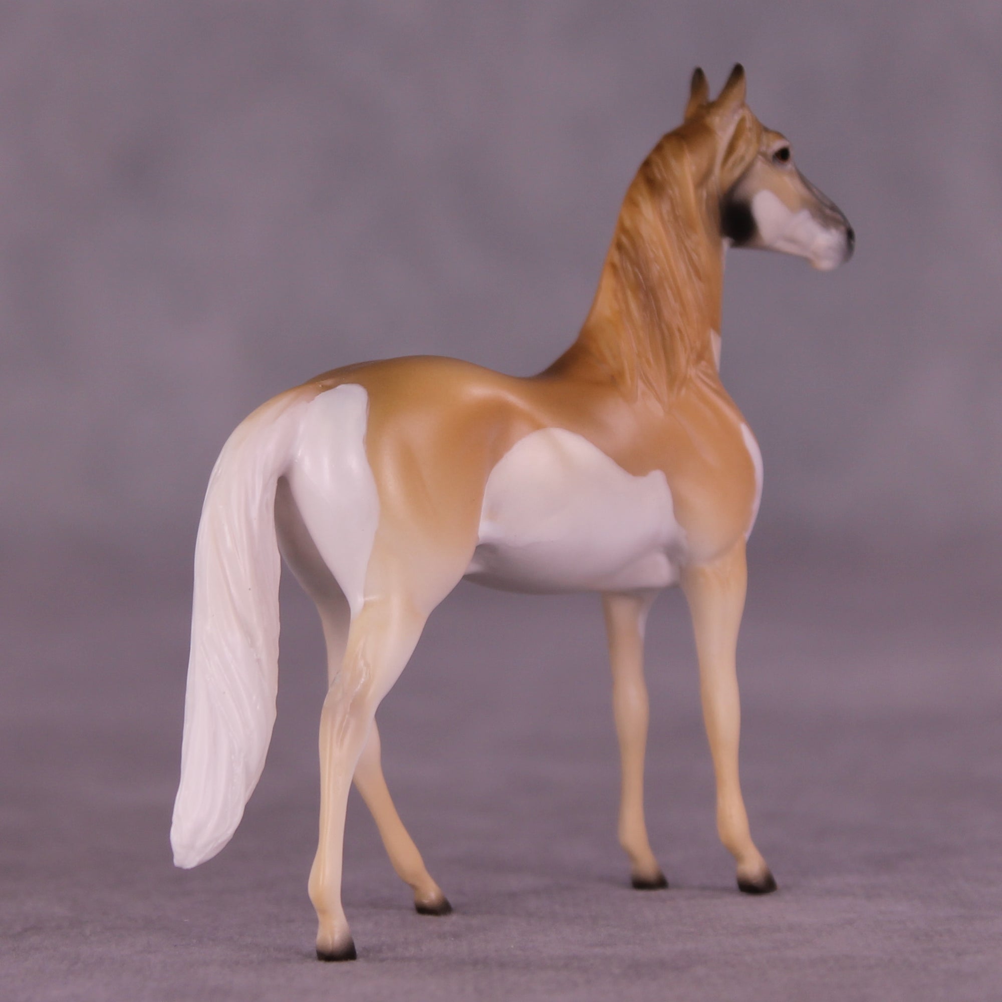 Clove LE-3 Chip Morgan by Jess Hamill MS25