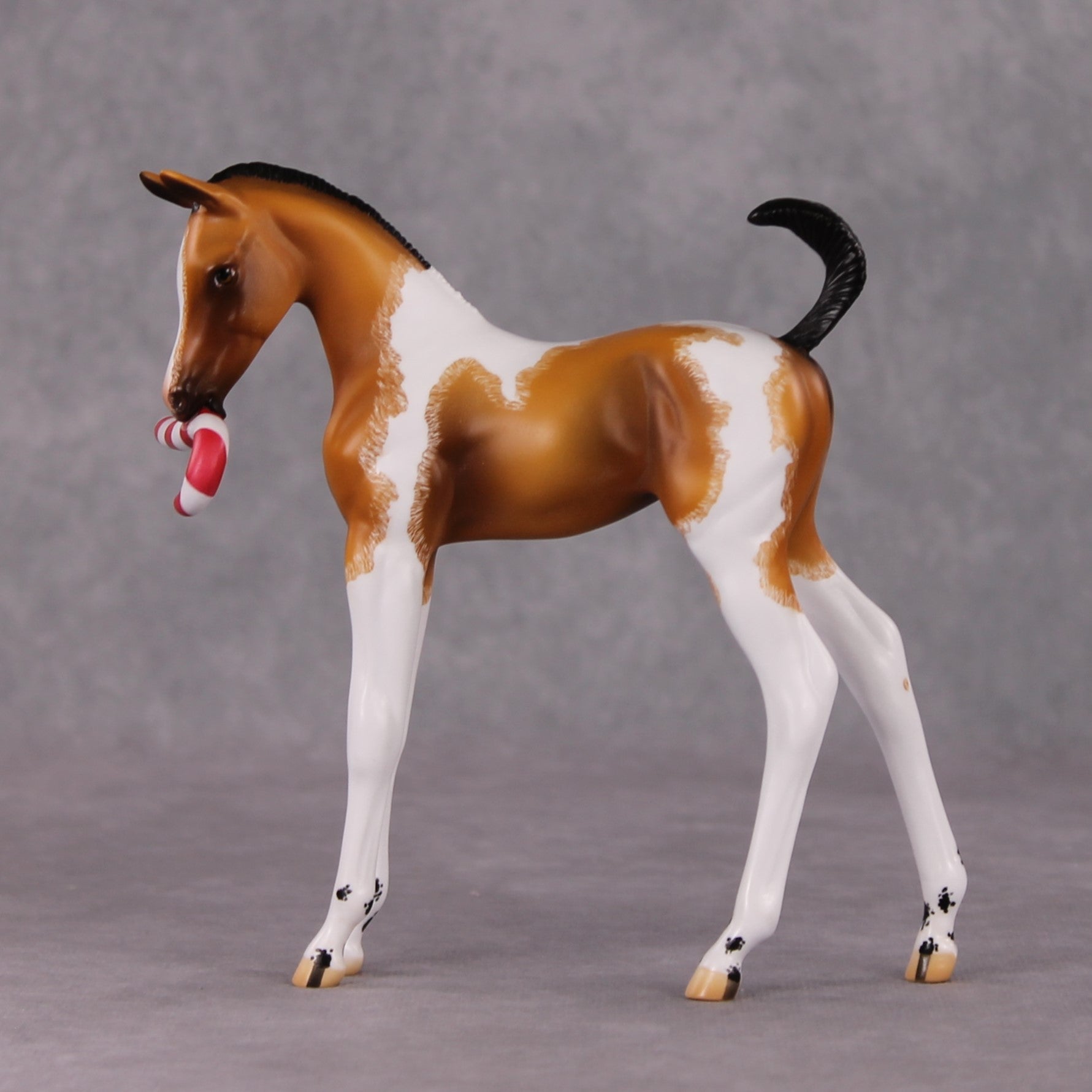 Shenanigan OOAK Arab Foal Painted By Jamie Adamson HS24 Best Offer