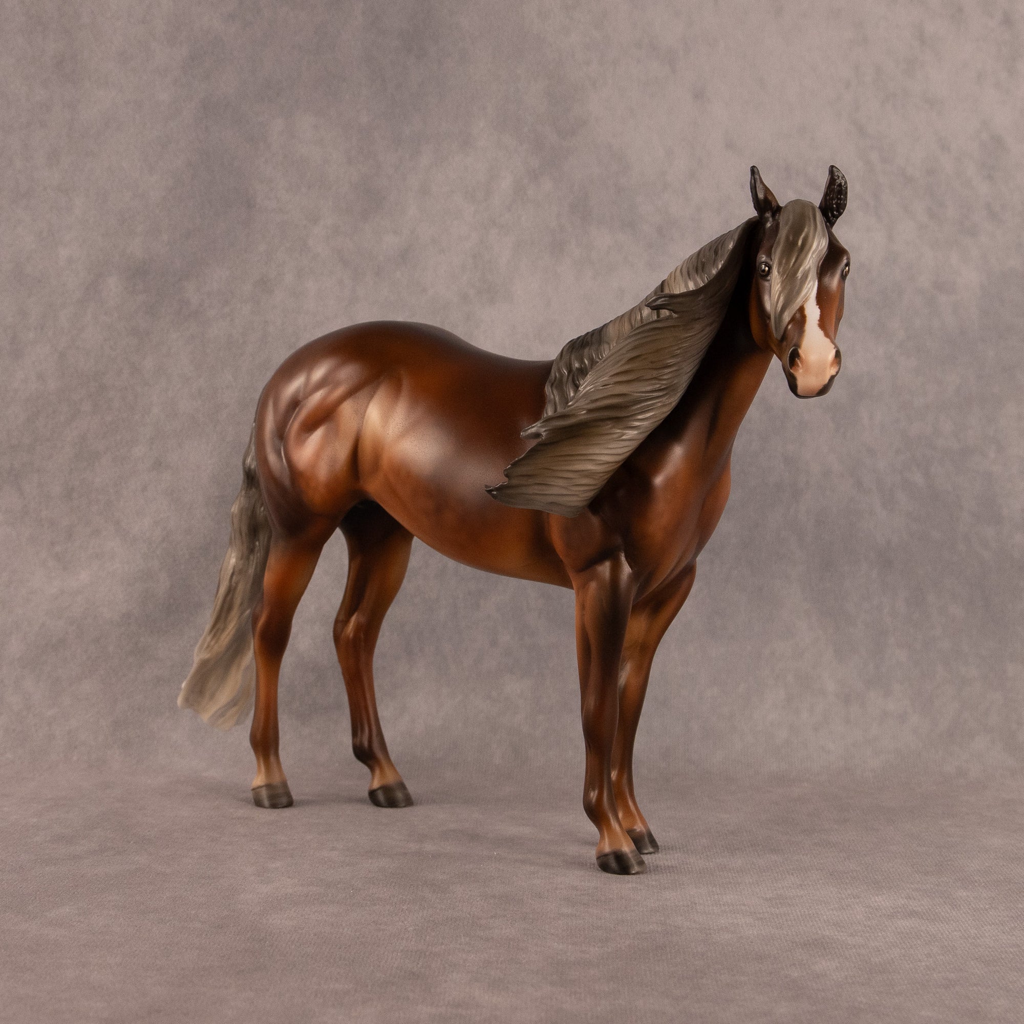 Carried Current OOAK FCM Ideal Stock Horse by Julie Keim EQ26