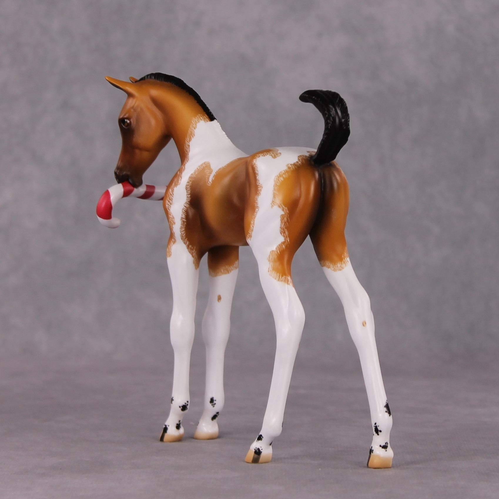 Shenanigan OOAK Arab Foal Painted By Jamie Adamson HS24 Best Offer