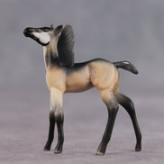 Smarty Pants OOAK FCM Chip Foal by Angela Marleau FTF26
