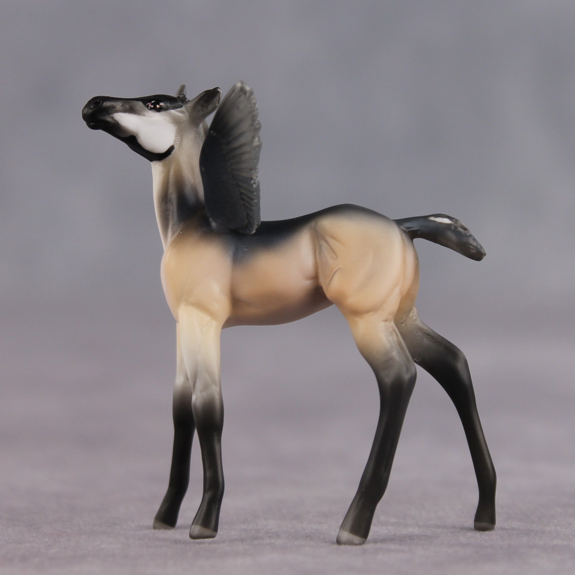 Smarty Pants OOAK FCM Chip Foal by Angela Marleau FTF26