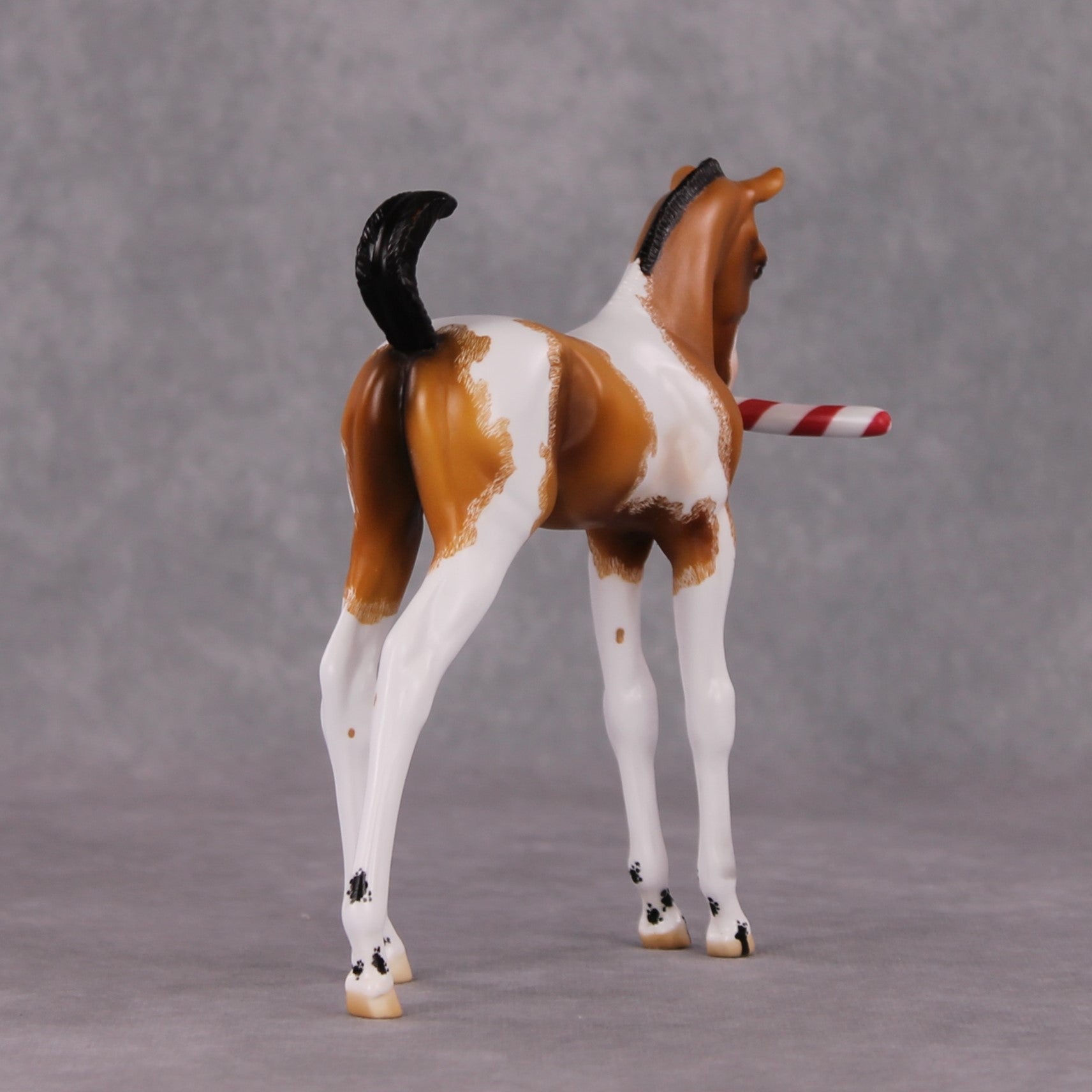 Shenanigan OOAK Arab Foal Painted By Jamie Adamson HS24 Best Offer