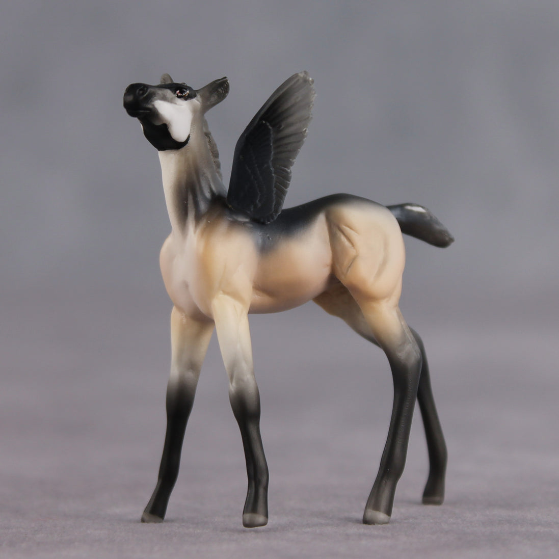 Smarty Pants OOAK FCM Chip Foal by Angela Marleau FTF26