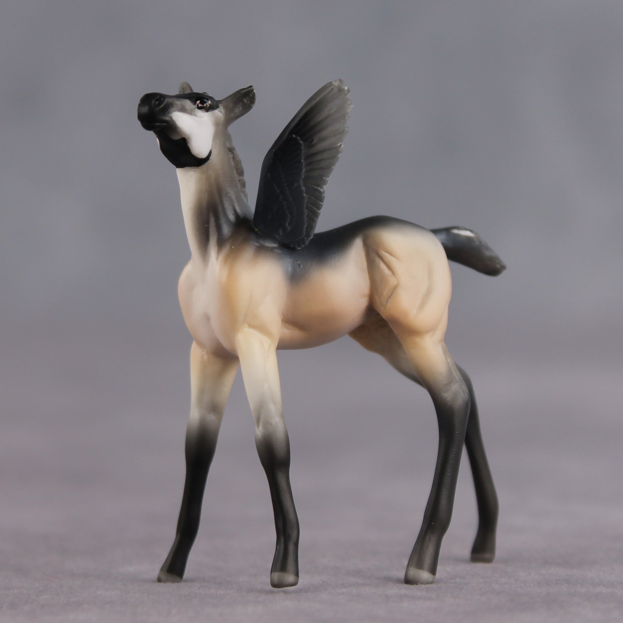 Smarty Pants OOAK FCM Chip Foal by Angela Marleau FTF26