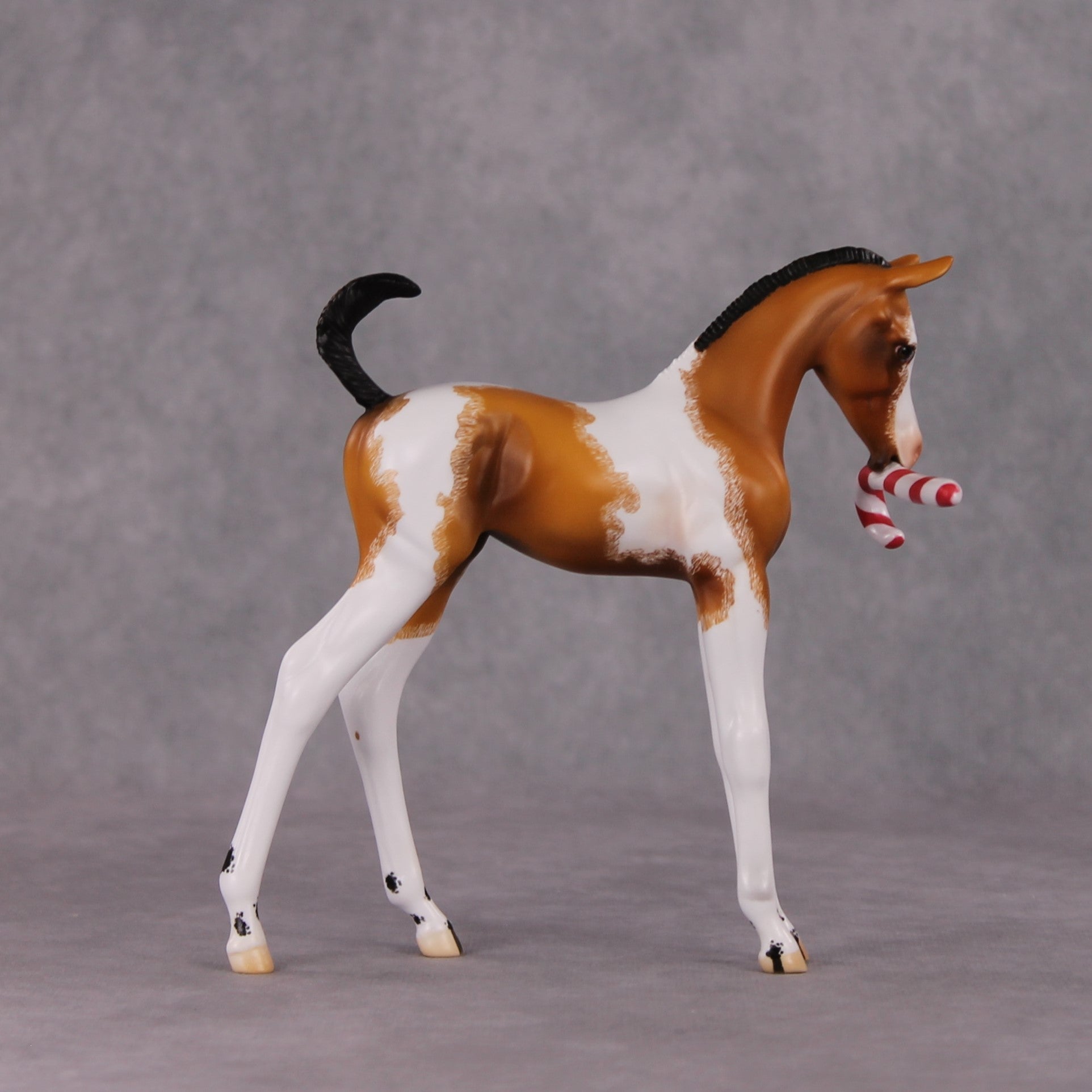 Shenanigan OOAK Arab Foal Painted By Jamie Adamson HS24 Best Offer