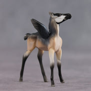 Smarty Pants OOAK FCM Chip Foal by Angela Marleau FTF26