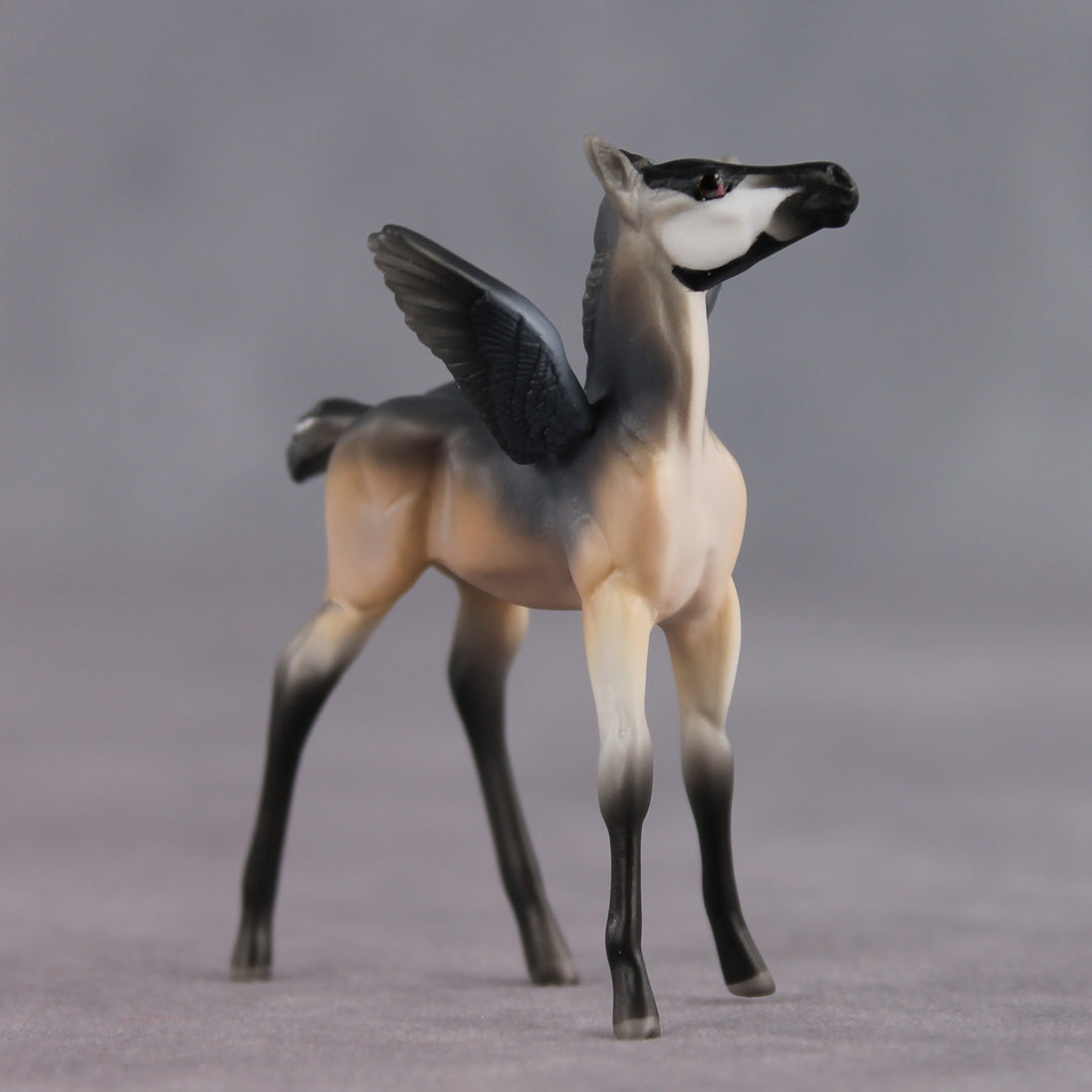 Smarty Pants OOAK FCM Chip Foal by Angela Marleau FTF26