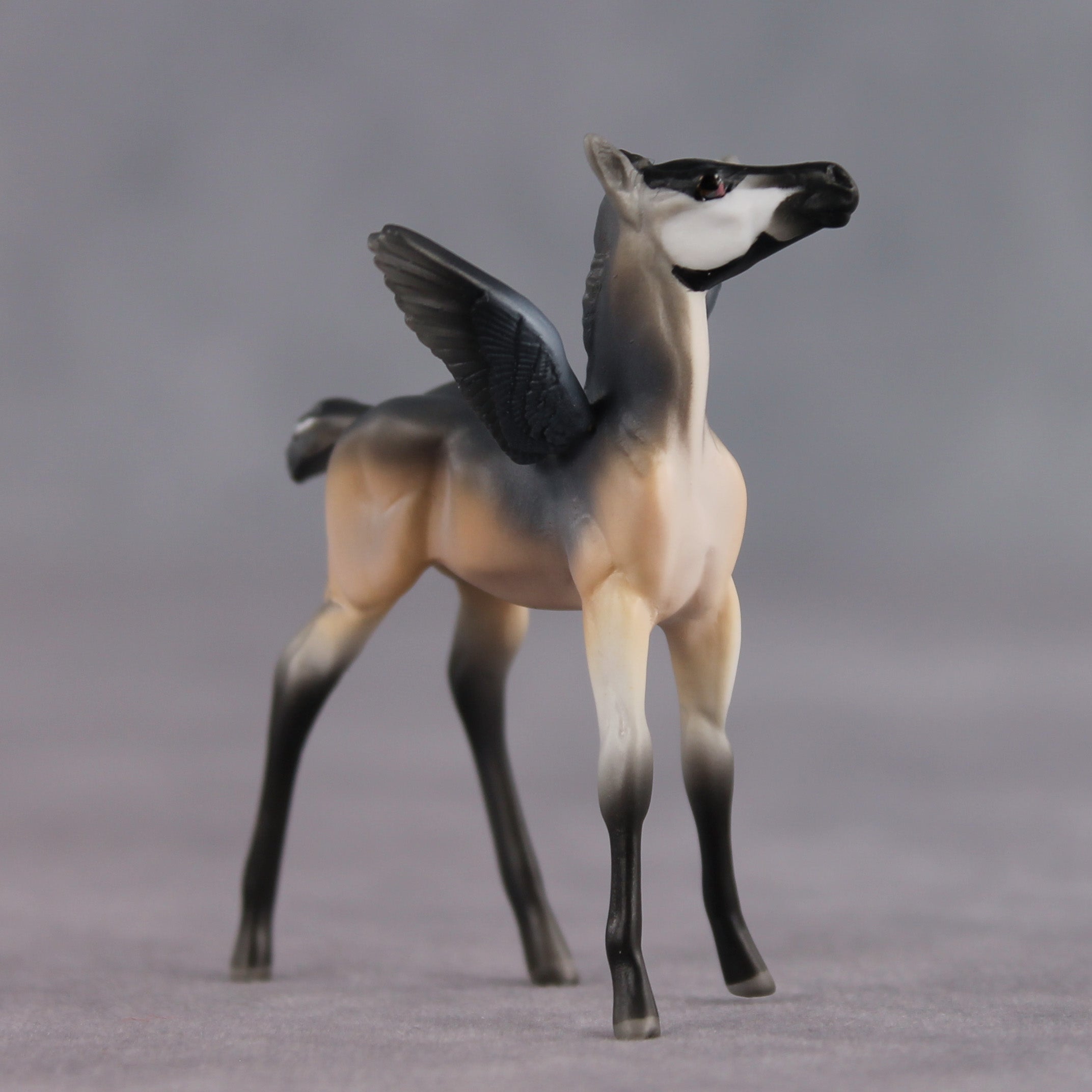 Smarty Pants OOAK FCM Chip Foal by Angela Marleau FTF26