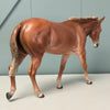 Caduceus OOAK Chestnut Mule By Jess Hamill EQ24