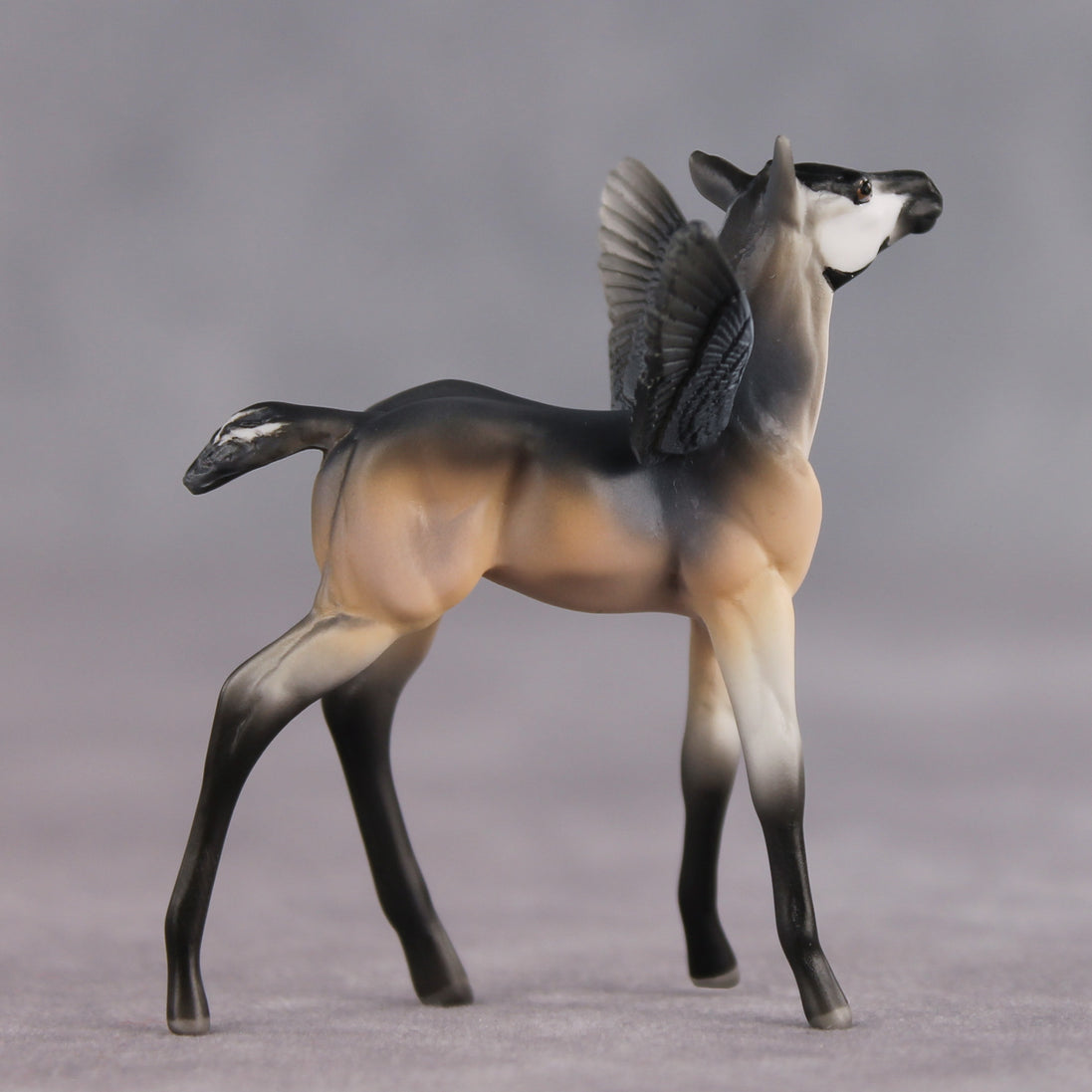 Smarty Pants OOAK FCM Chip Foal by Angela Marleau FTF26
