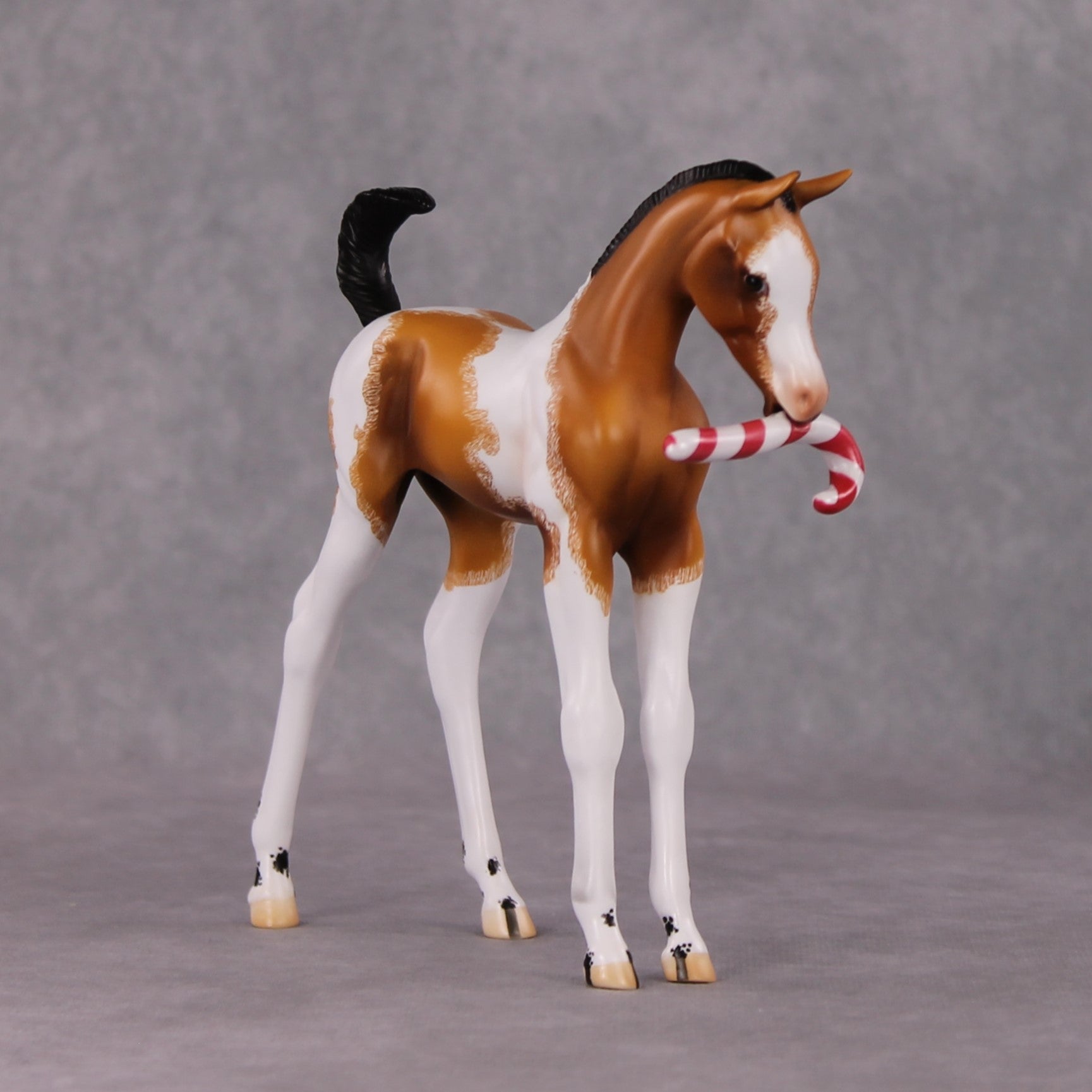 Shenanigan OOAK Arab Foal Painted By Jamie Adamson HS24 Best Offer