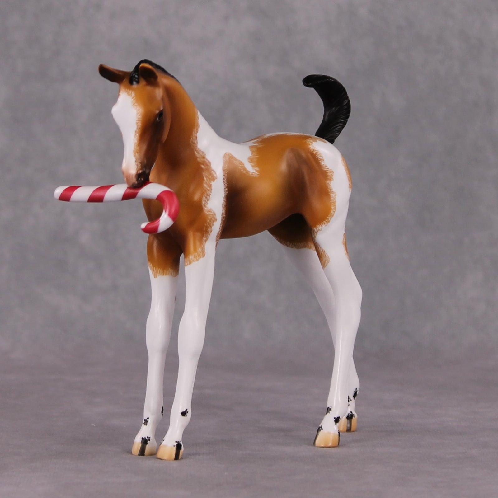 Shenanigan OOAK Arab Foal Painted By Jamie Adamson HS24 Best Offer