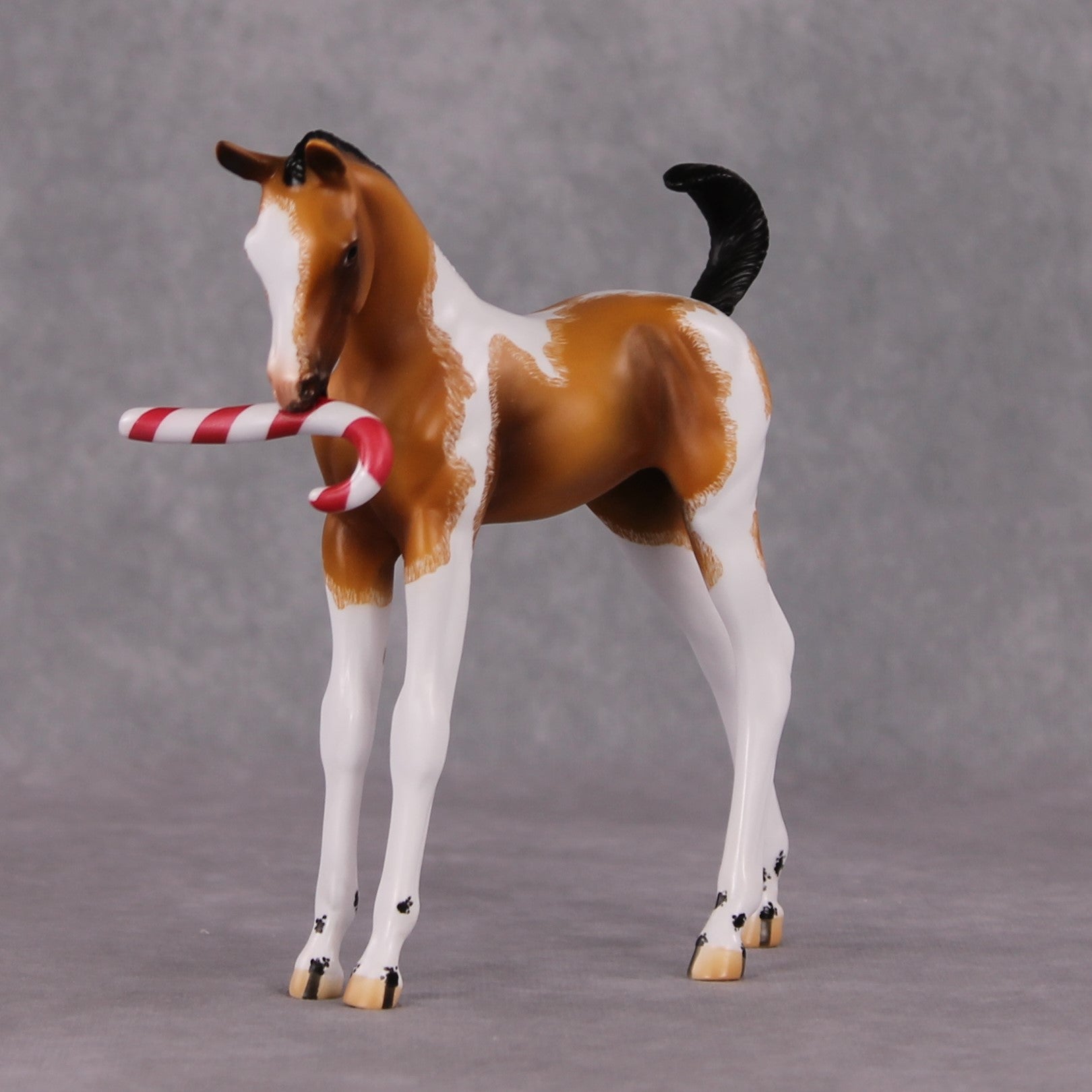 Shenanigan OOAK Arab Foal Painted By Jamie Adamson HS24 Best Offer