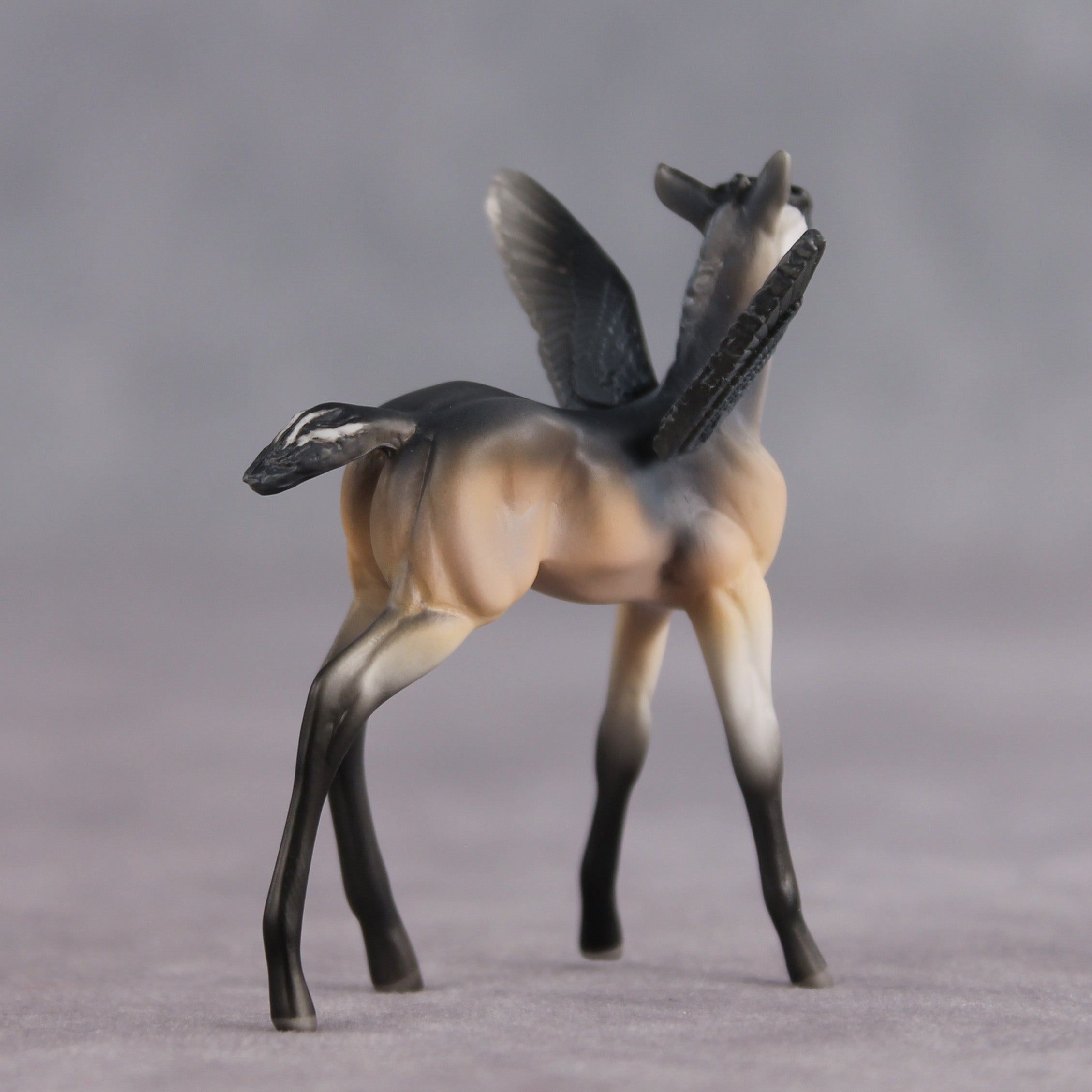 Smarty Pants OOAK FCM Chip Foal by Angela Marleau FTF26