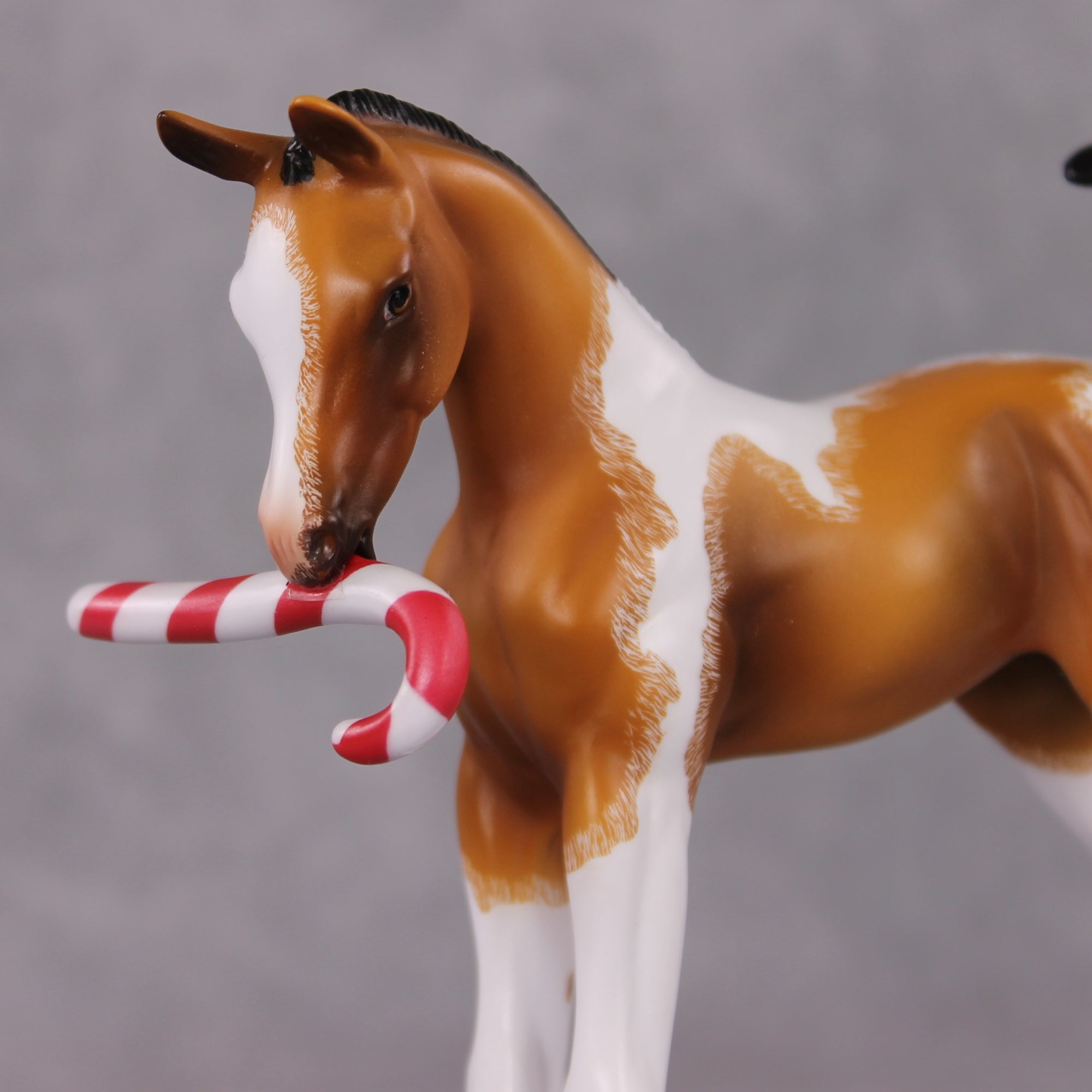 Shenanigan OOAK Arab Foal Painted By Jamie Adamson HS24 Best Offer