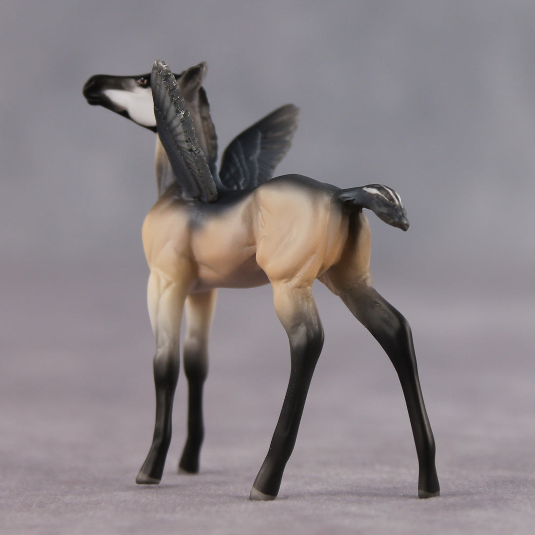 Smarty Pants OOAK FCM Chip Foal by Angela Marleau FTF26