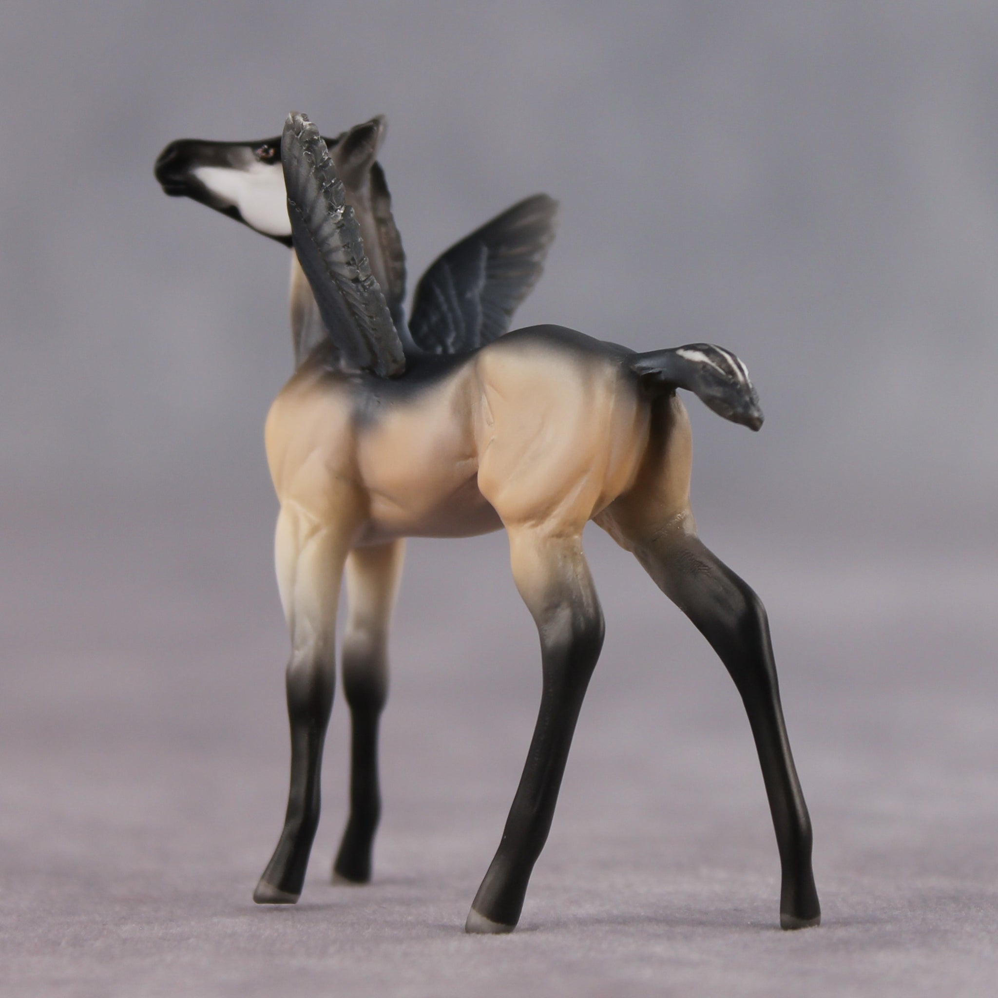 Smarty Pants OOAK FCM Chip Foal by Angela Marleau FTF26