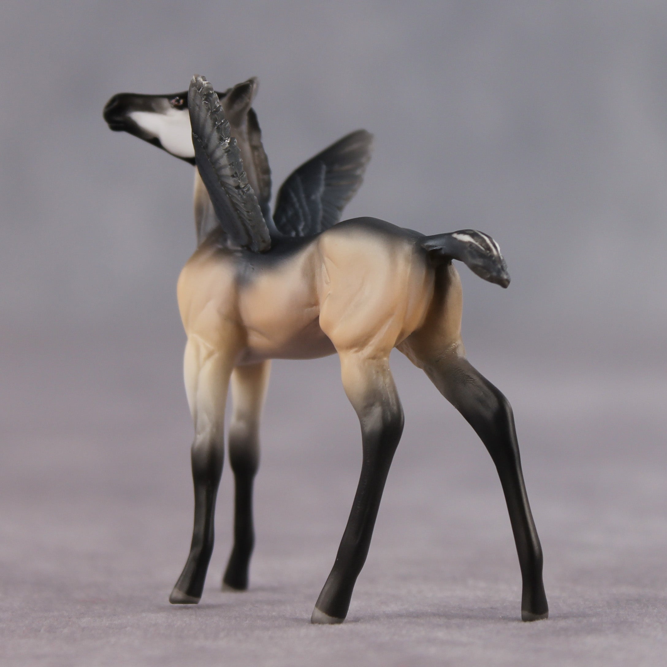 Smarty Pants OOAK FCM Chip Foal by Angela Marleau FTF26
