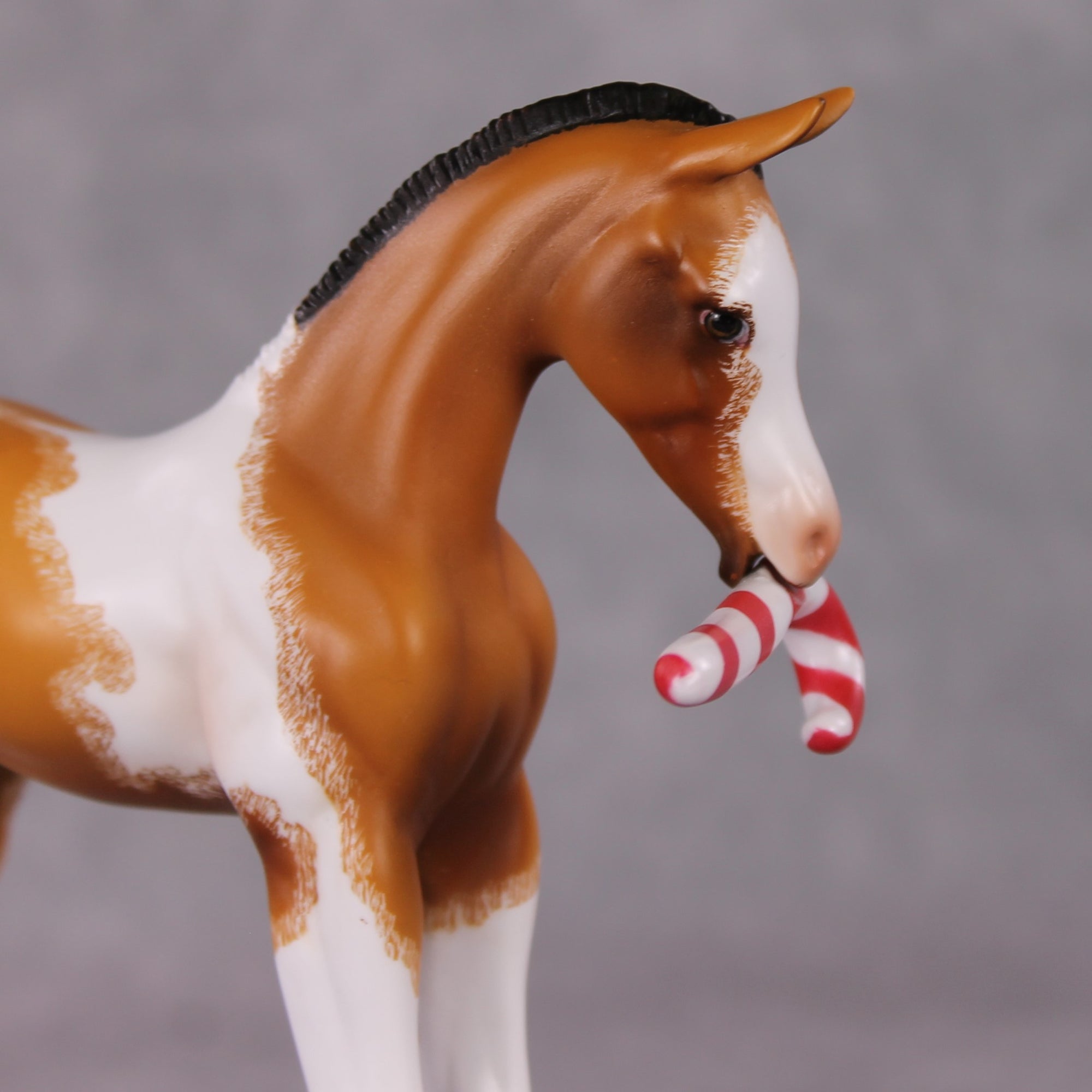 Shenanigan OOAK Arab Foal Painted By Jamie Adamson HS24 Best Offer