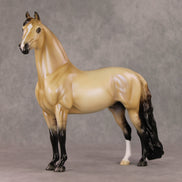Fireside Glow OOAK Dun with Blue Interference Morgan By Ellen Robbins HS24