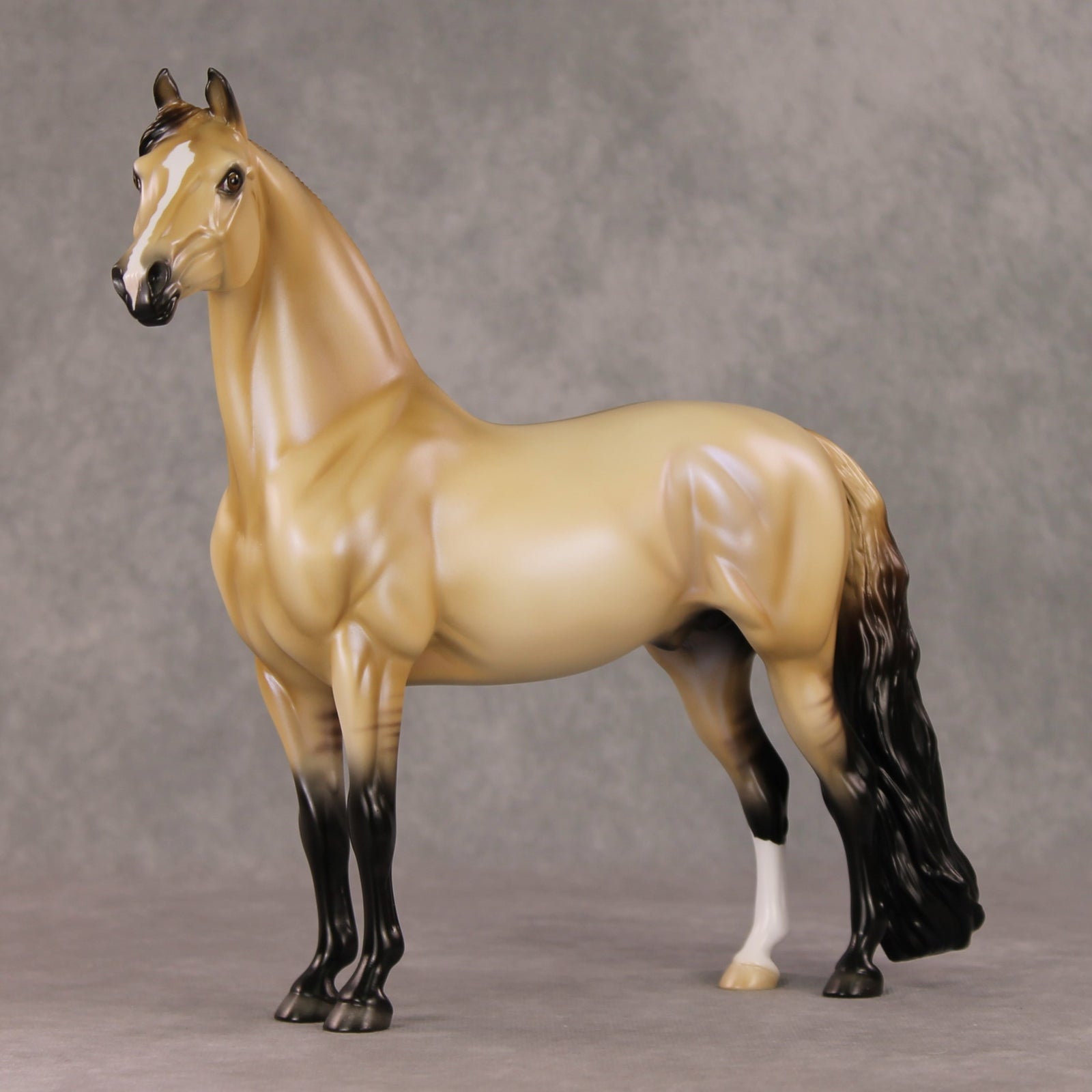 Fireside Glow OOAK Dun with Blue Interference Morgan By Ellen Robbins HS24