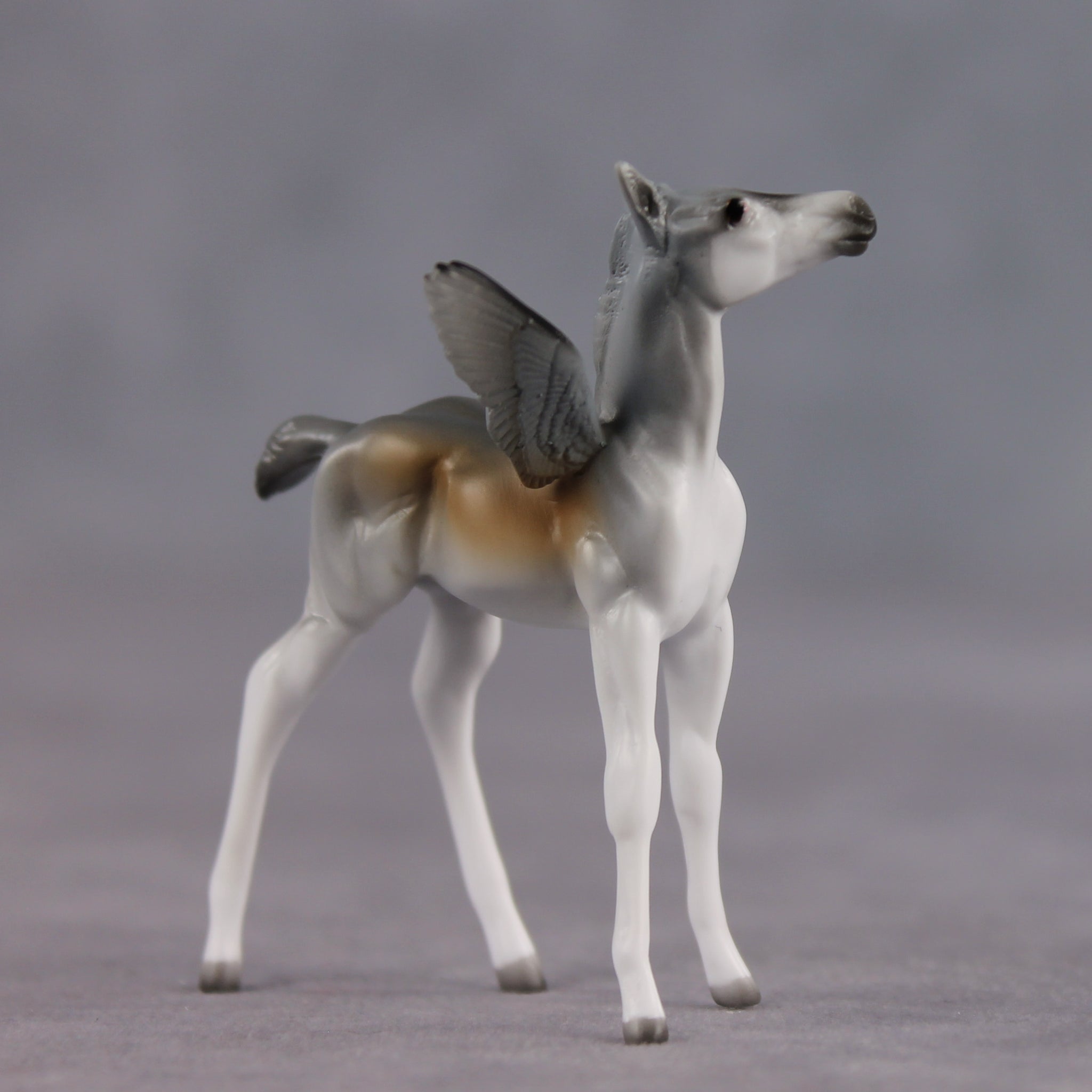 Peter OOAK FCM Chip Foal by Angela Marleau FTF26