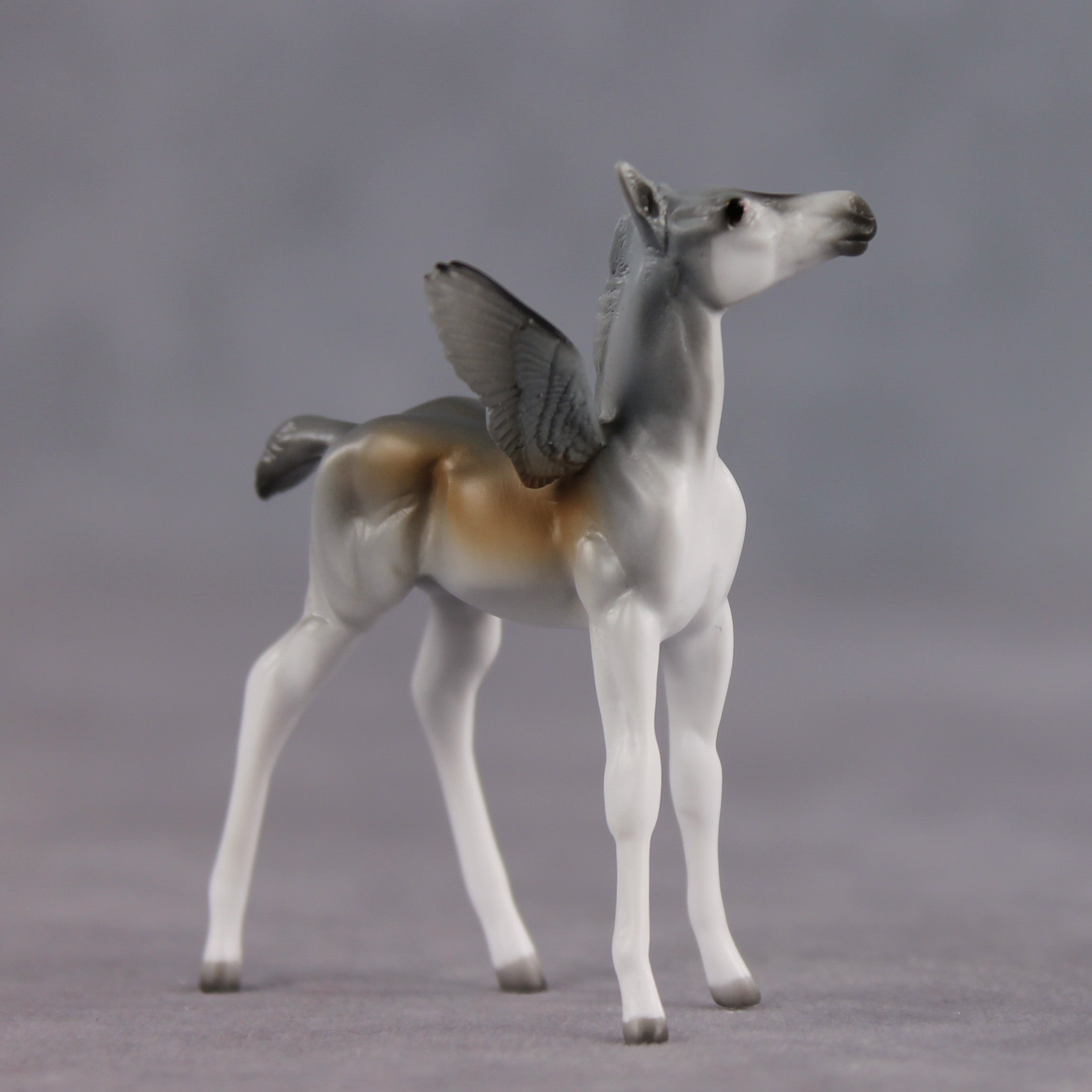 Peter OOAK FCM Chip Foal by Angela Marleau FTF26