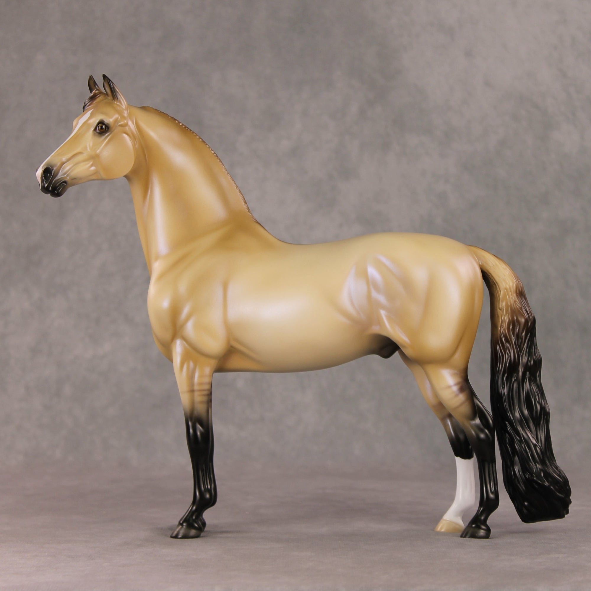 Fireside Glow OOAK Dun with Blue Interference Morgan By Ellen Robbins HS24