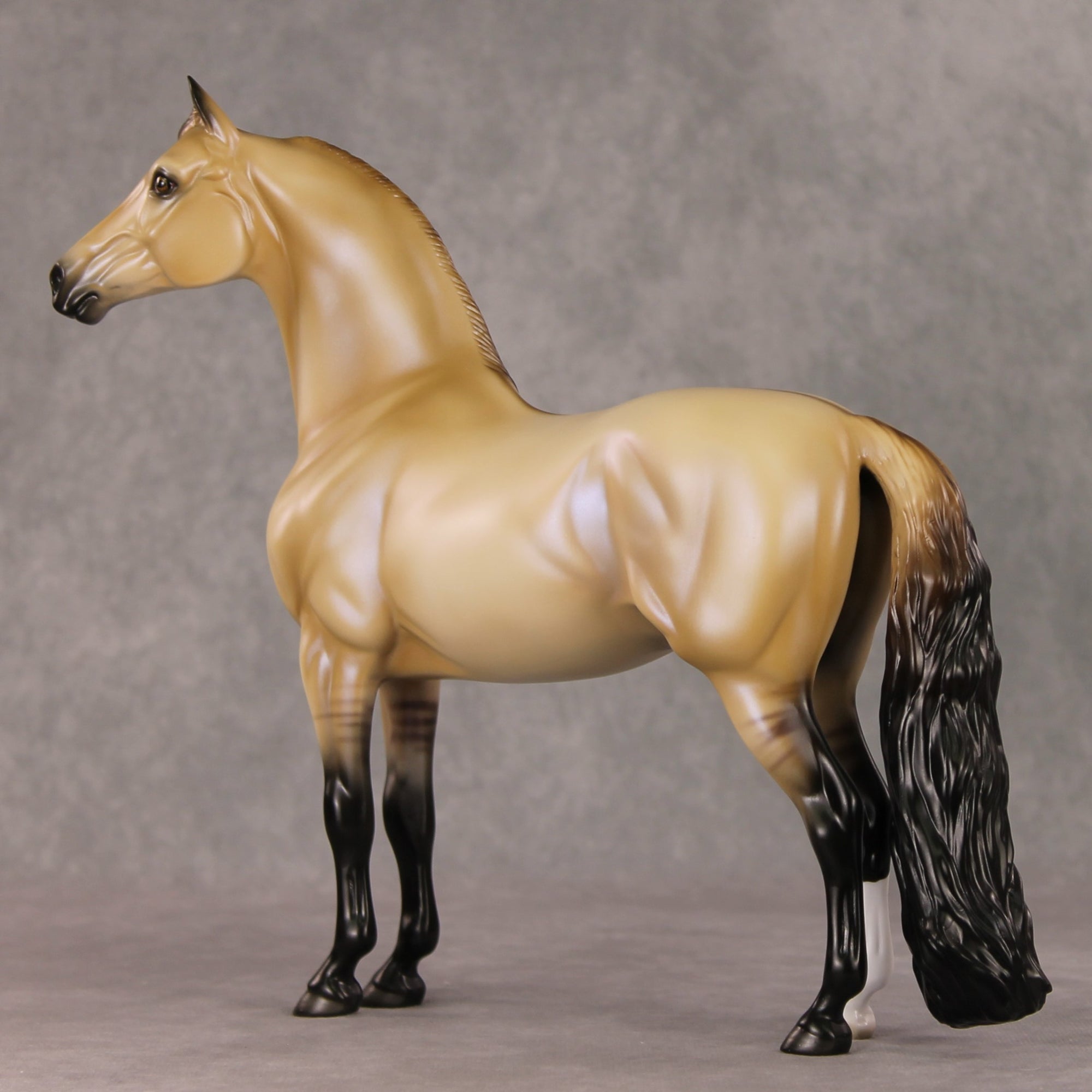 Fireside Glow OOAK Dun with Blue Interference Morgan By Ellen Robbins HS24