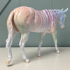 Euphonia OOAK Deco Pastel Rainbow Zebra Mule By Jess Hamill EQ24 End of Month Sample and OOAK Sale SS724