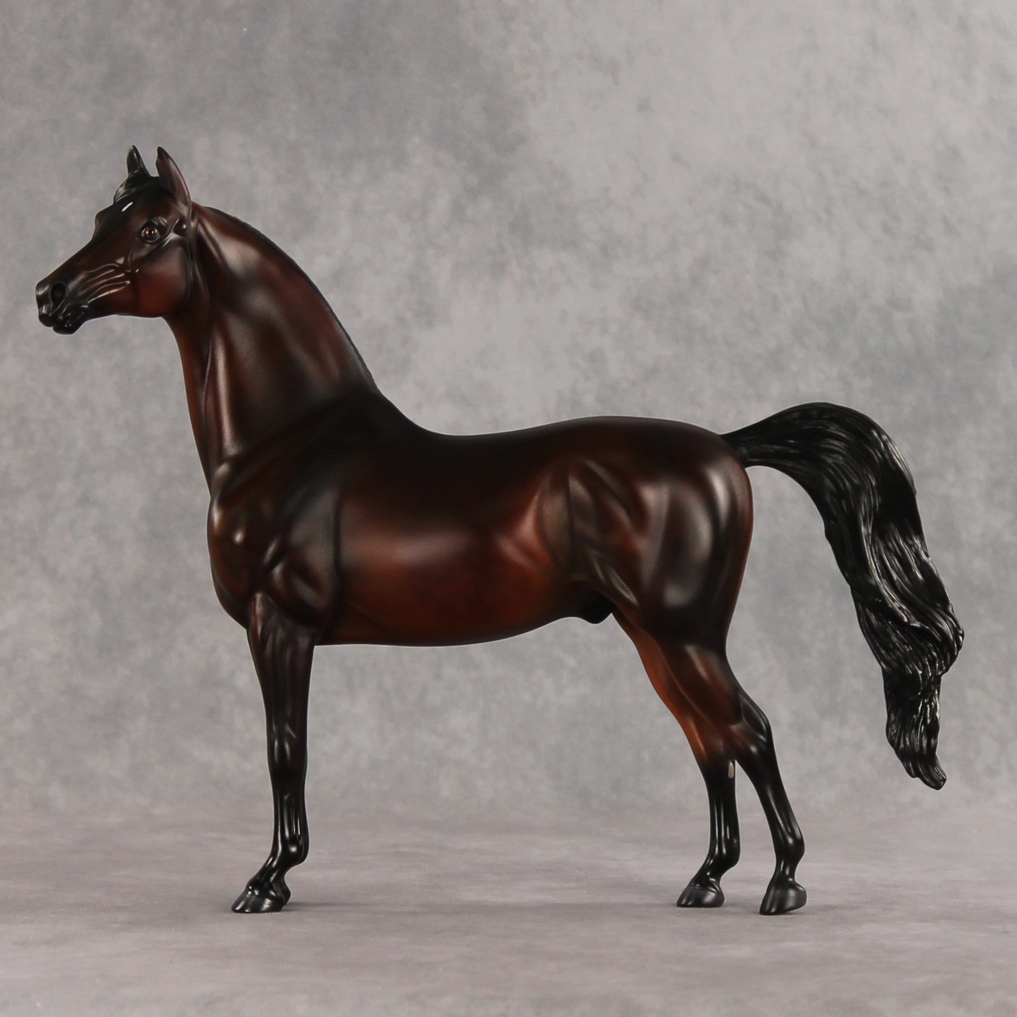 Showtime LE-20 FCM Morgan by Julie Keim & Melanie Miller TS26