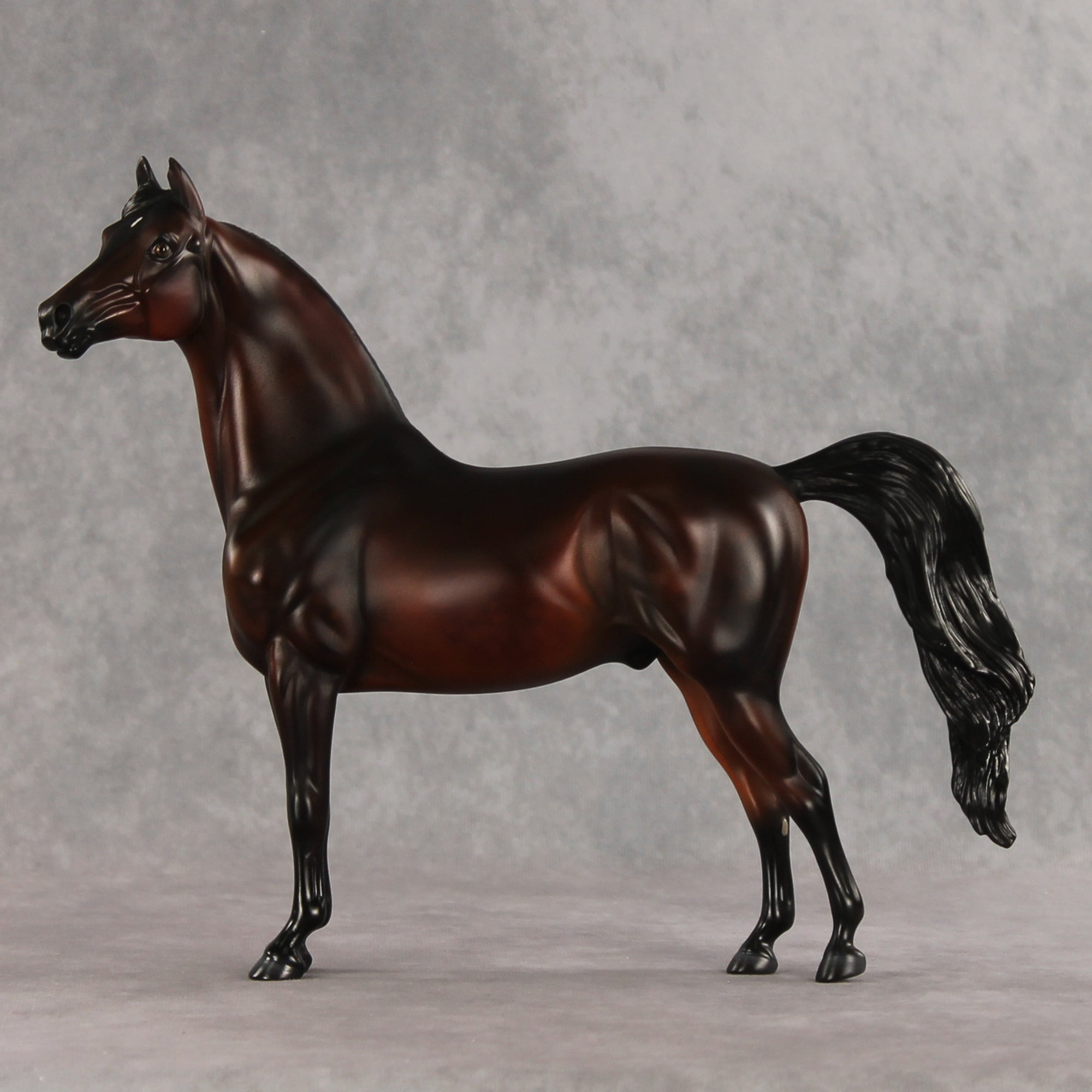 Showtime LE-20 FCM Morgan by Julie Keim &amp; Melanie Miller TS26