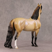 Fireside Glow OOAK Dun with Blue Interference Morgan By Ellen Robbins HS24