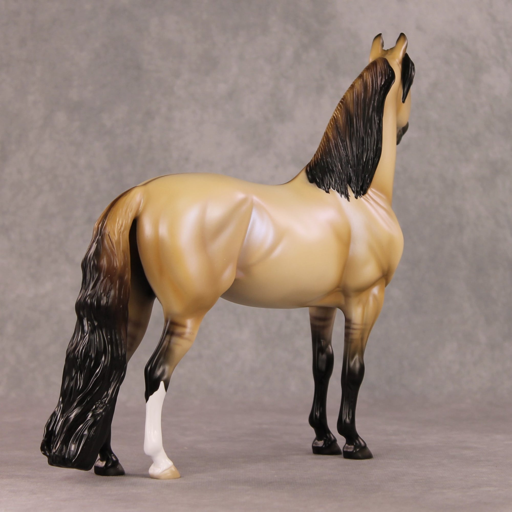 Fireside Glow OOAK Dun with Blue Interference Morgan By Ellen Robbins HS24