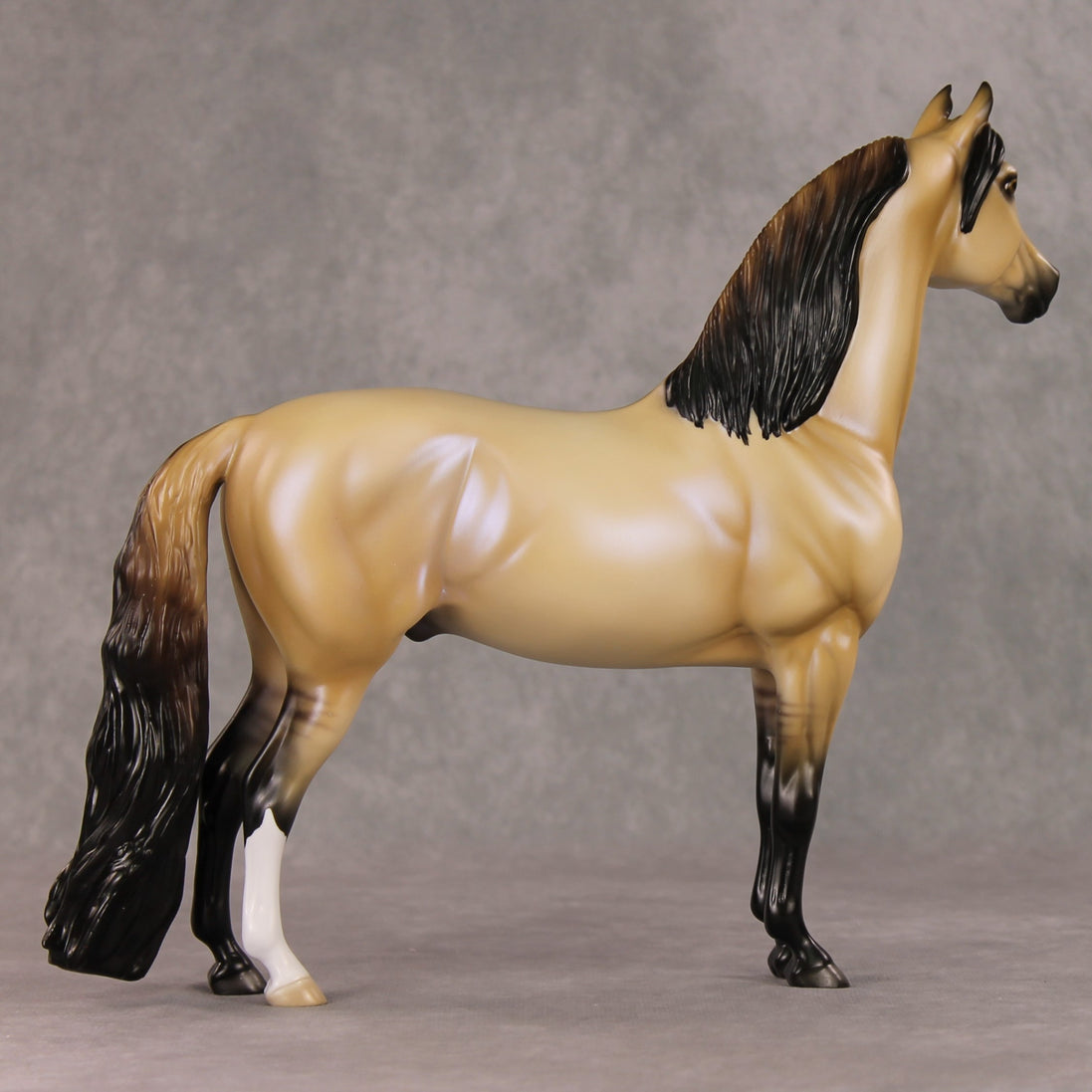 Fireside Glow OOAK Dun with Blue Interference Morgan By Ellen Robbins HS24