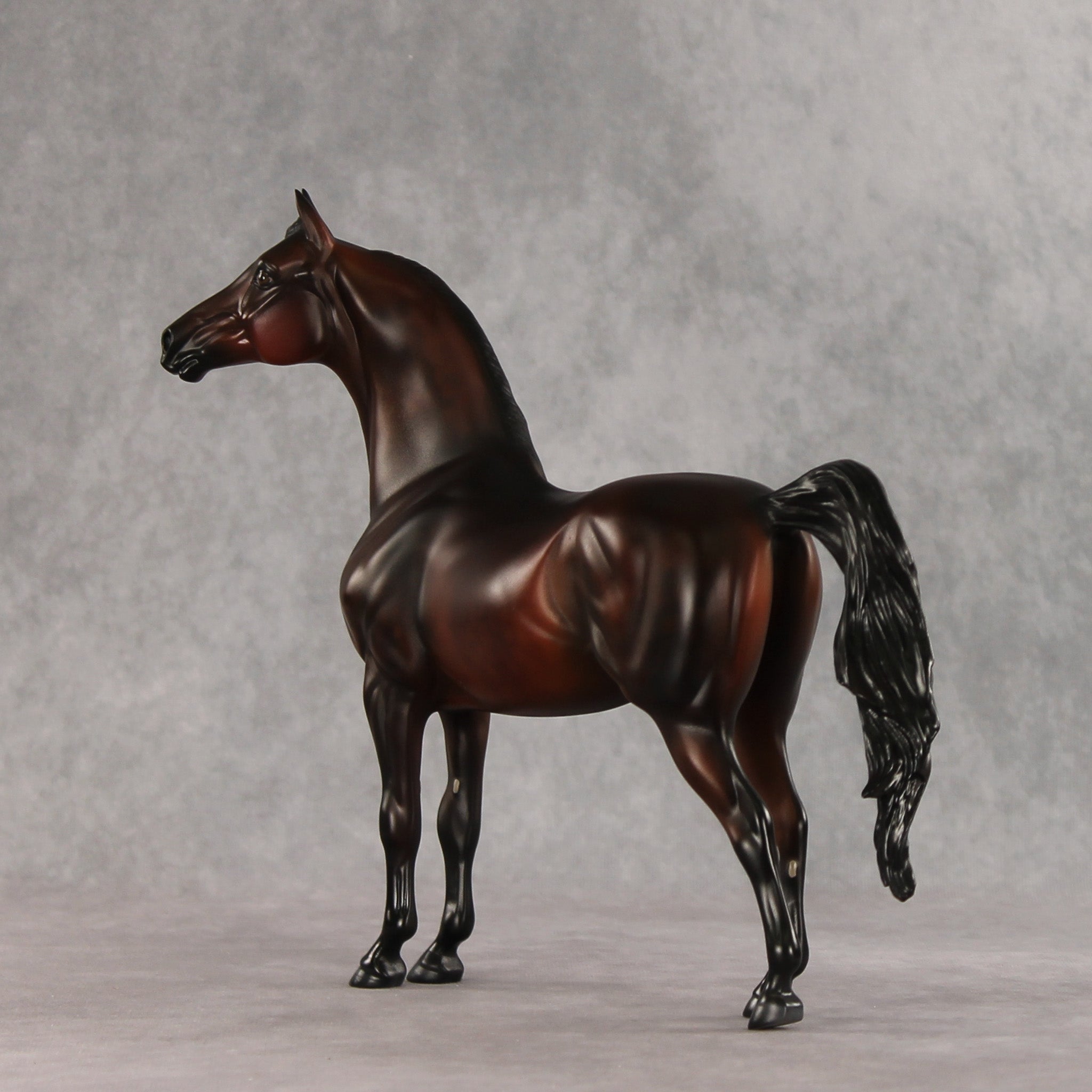 Showtime LE-20 FCM Morgan by Julie Keim & Melanie Miller TS26
