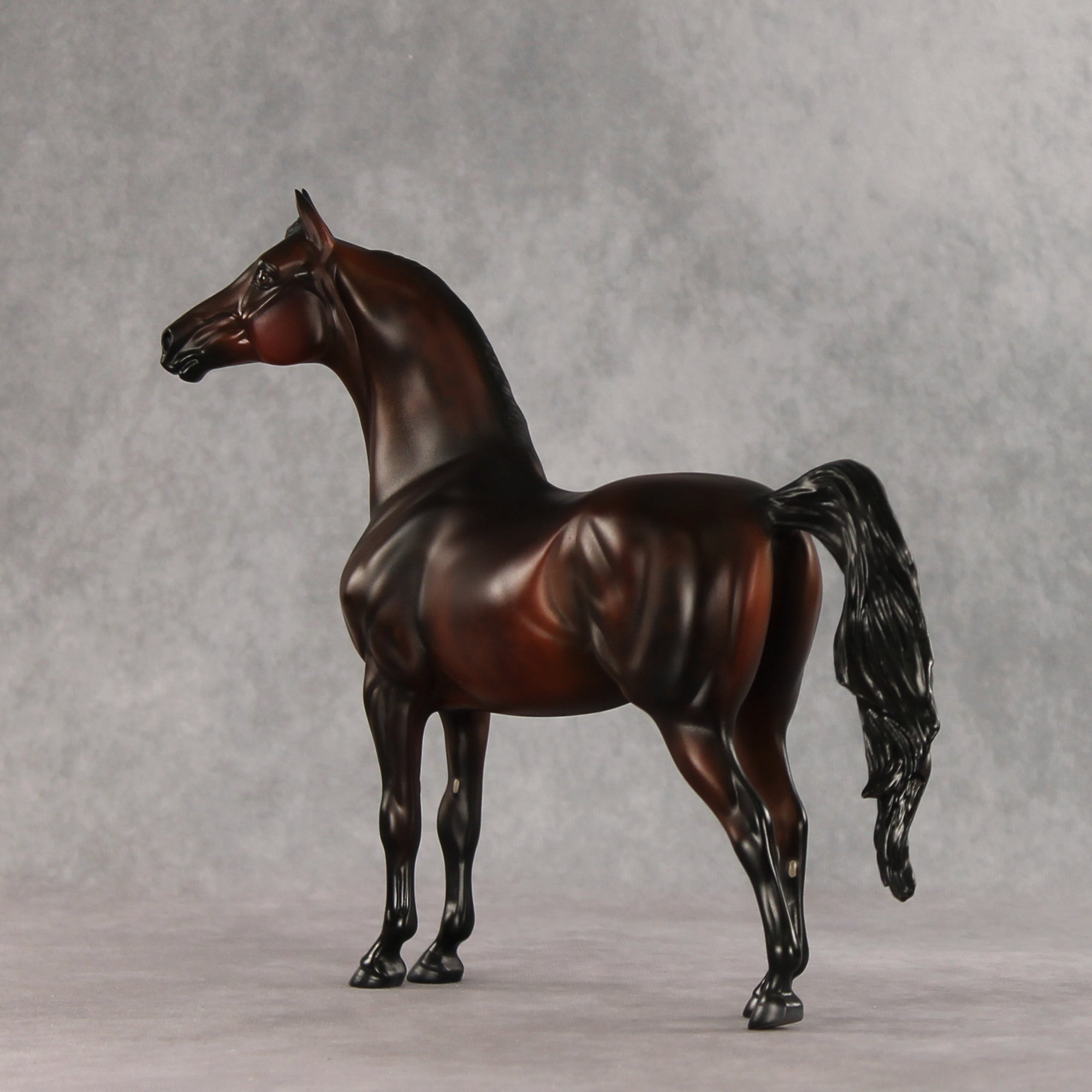 Showtime LE-20 FCM Morgan by Julie Keim &amp; Melanie Miller TS26