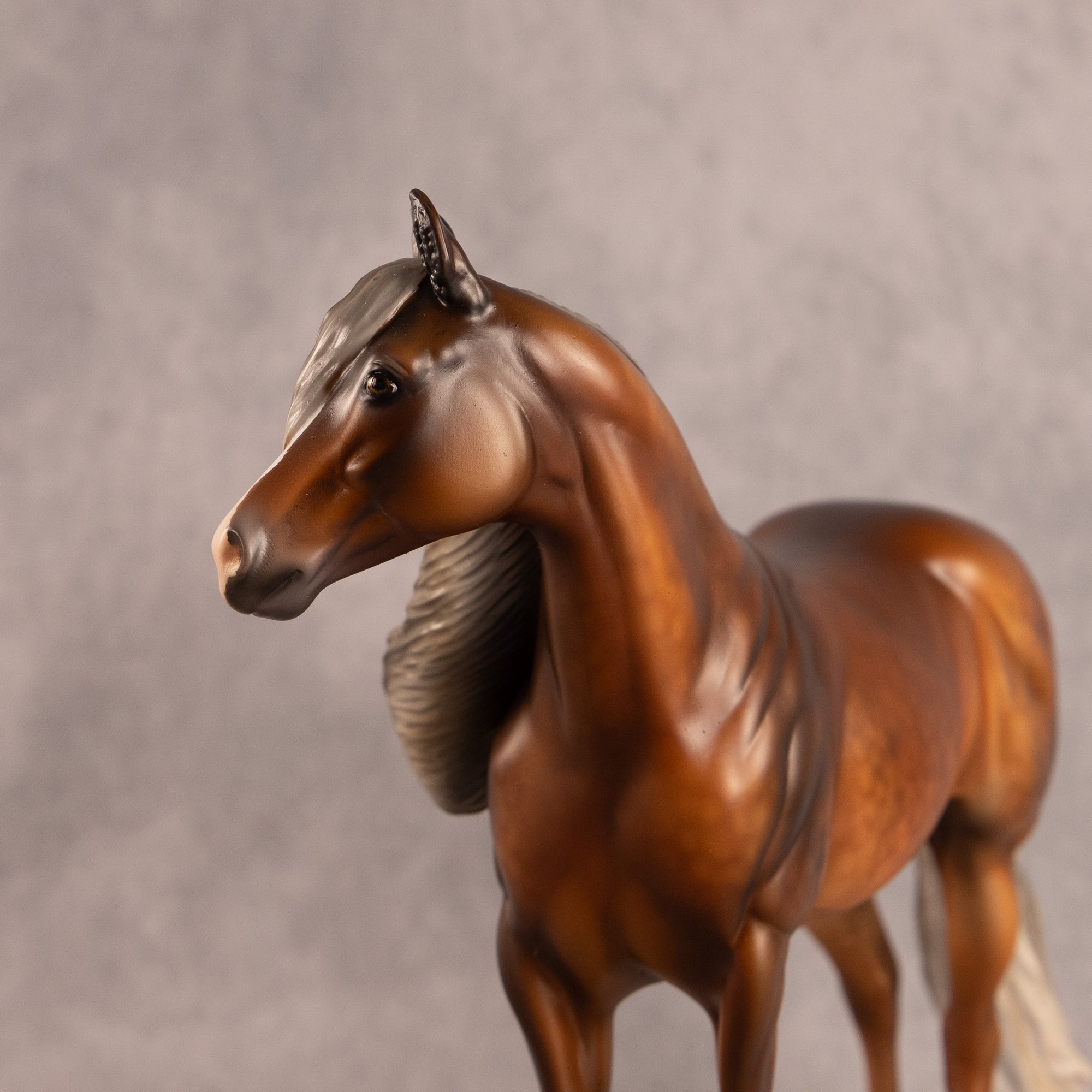 Carried Current OOAK FCM Ideal Stock Horse by Julie Keim EQ26