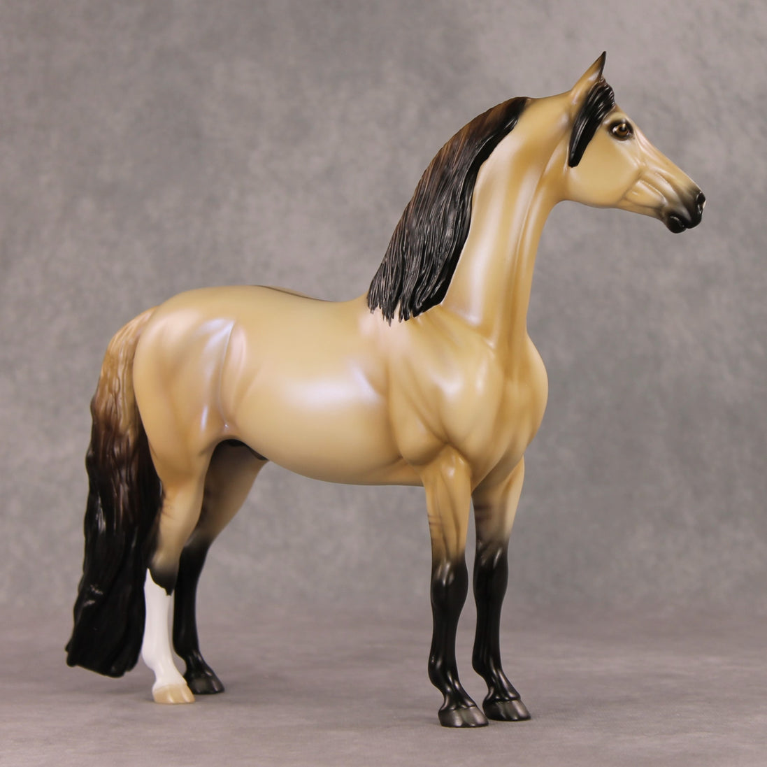 Fireside Glow OOAK Dun with Blue Interference Morgan By Ellen Robbins HS24