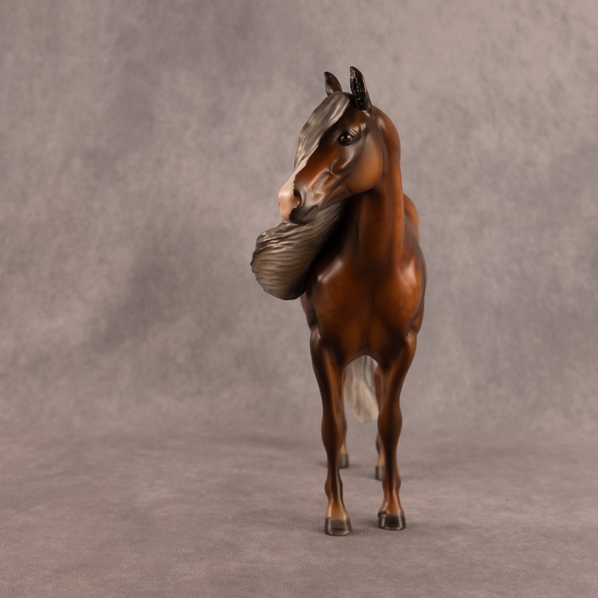 Carried Current OOAK FCM Ideal Stock Horse by Julie Keim EQ26