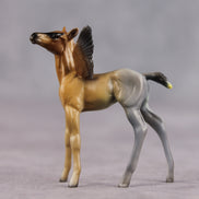 Lover OOAK FCM Chip Foal by Angela Marleau FTF26