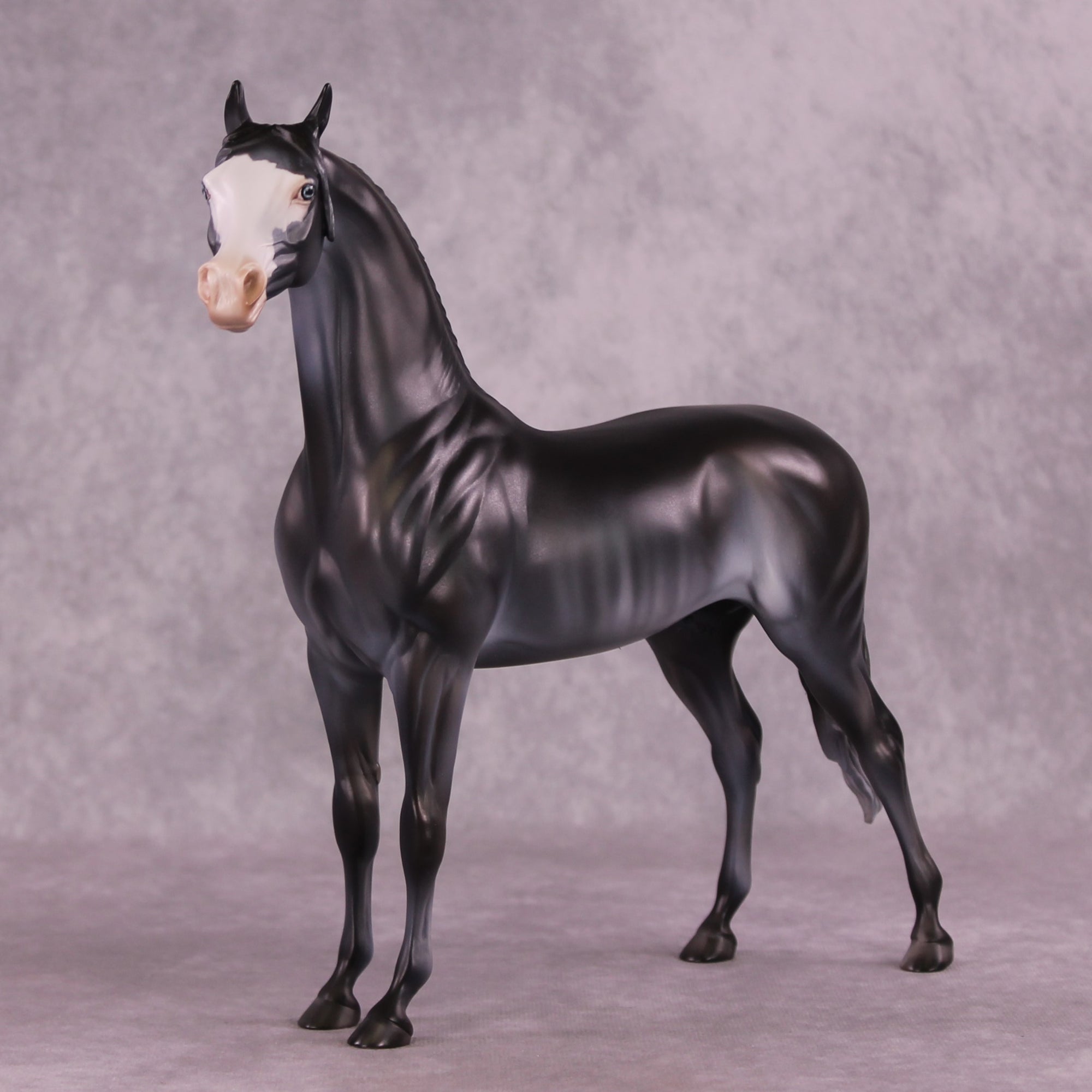 "Juniper Berry" OOAK FCM Arabian by Julie Keim EQ25