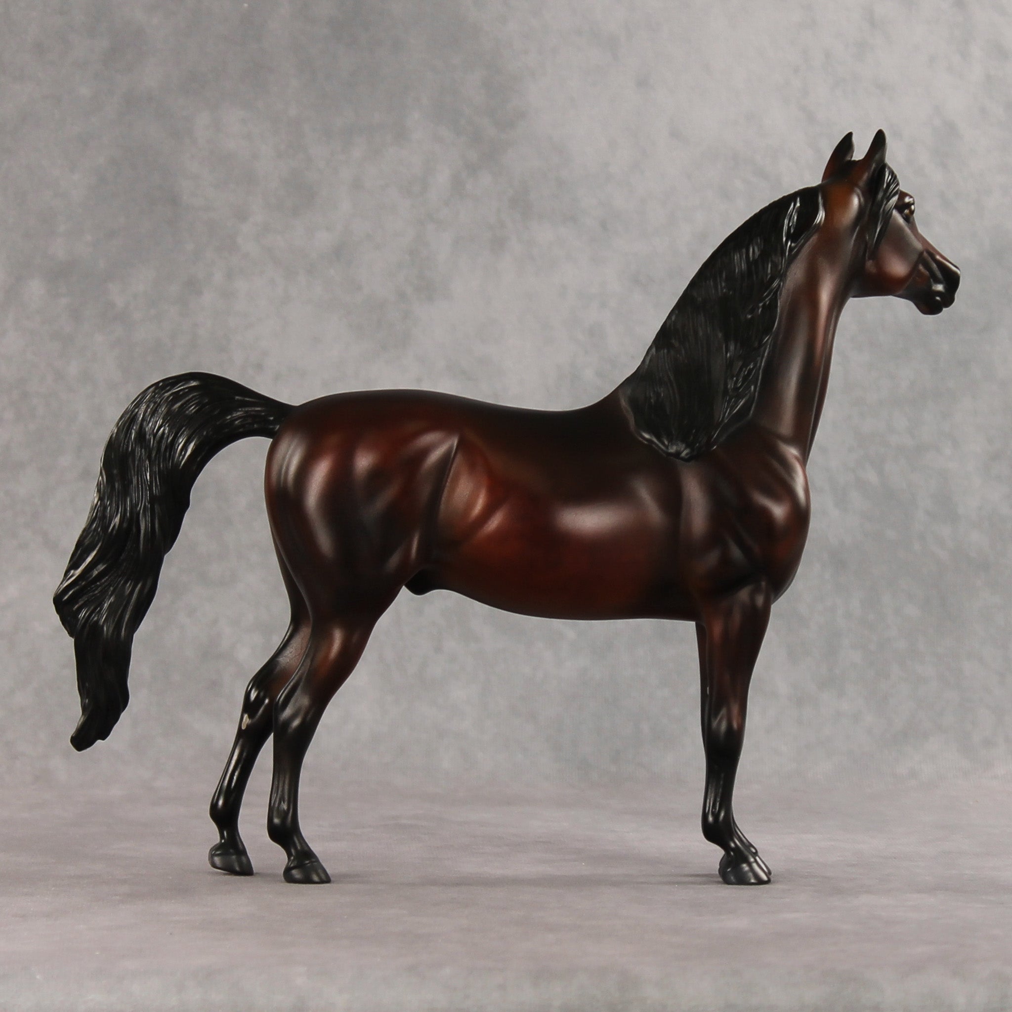 Showtime LE-20 FCM Morgan by Julie Keim & Melanie Miller TS26