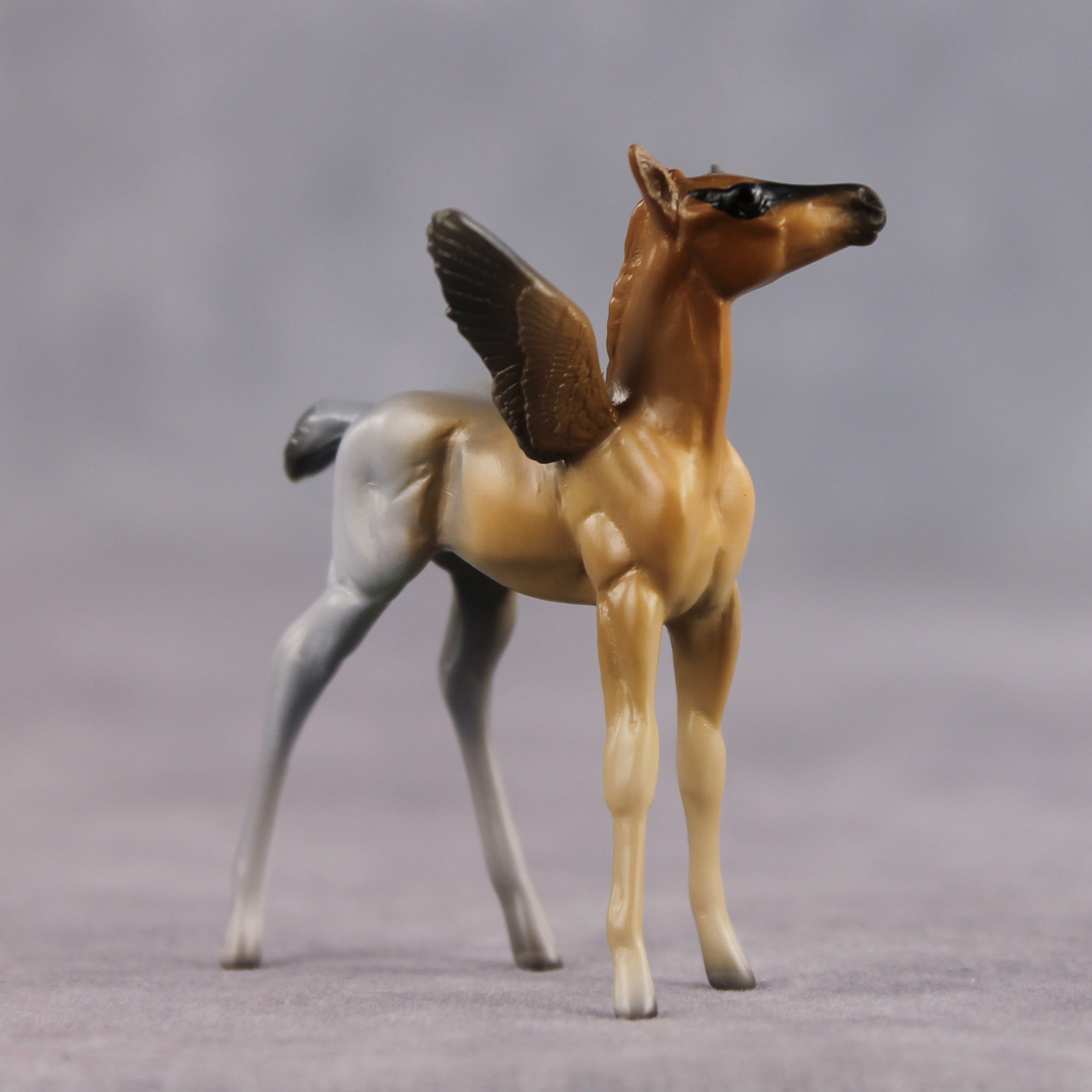 Lover OOAK FCM Chip Foal by Angela Marleau FTF26