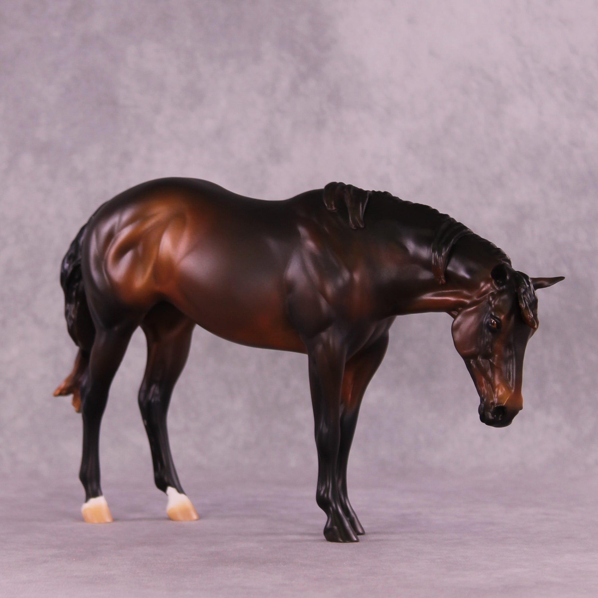 Isabella OOAK EFCM Ideal Stock Horse by Erika Isbell SS925